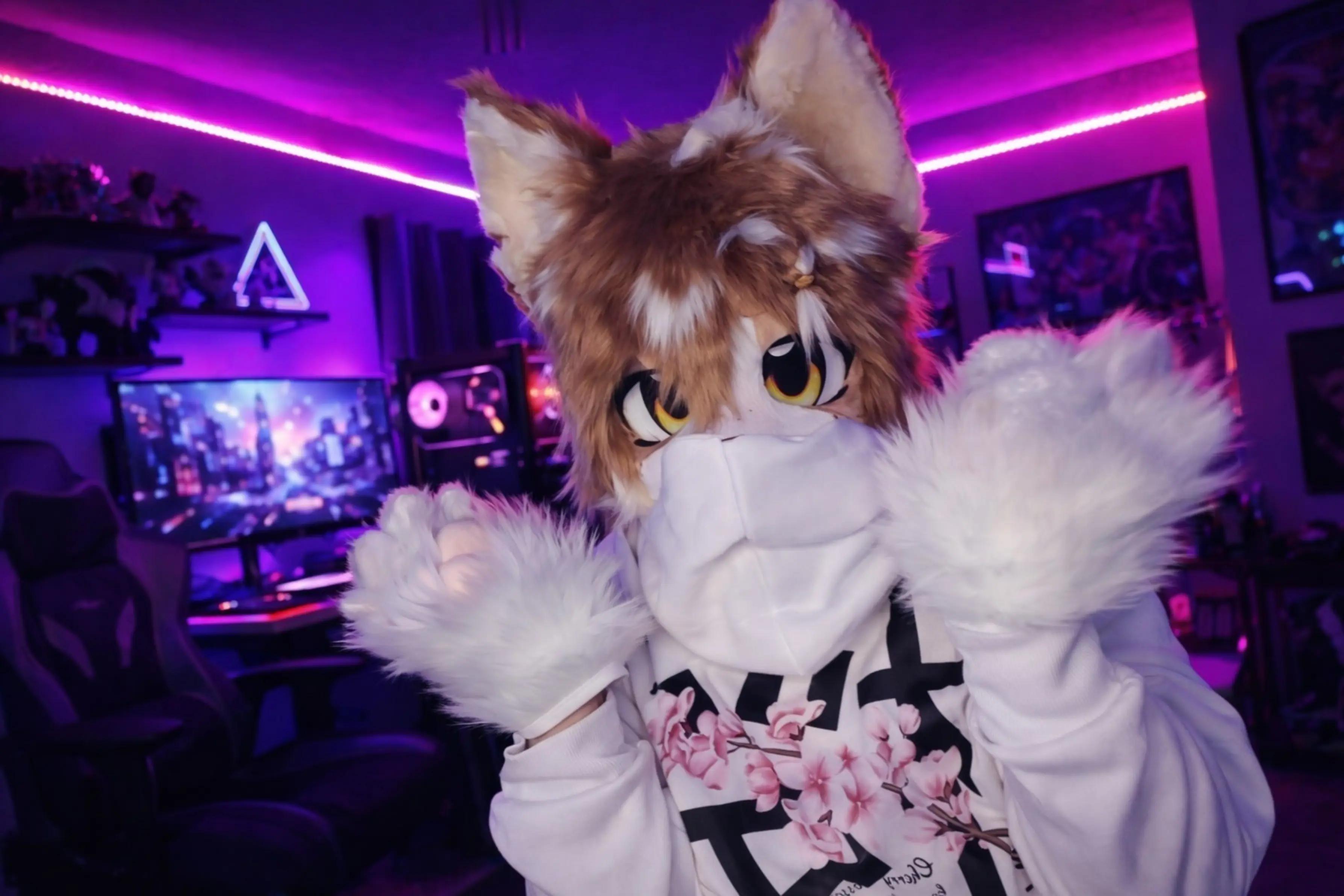 @🌸Neiko Fox🌸
