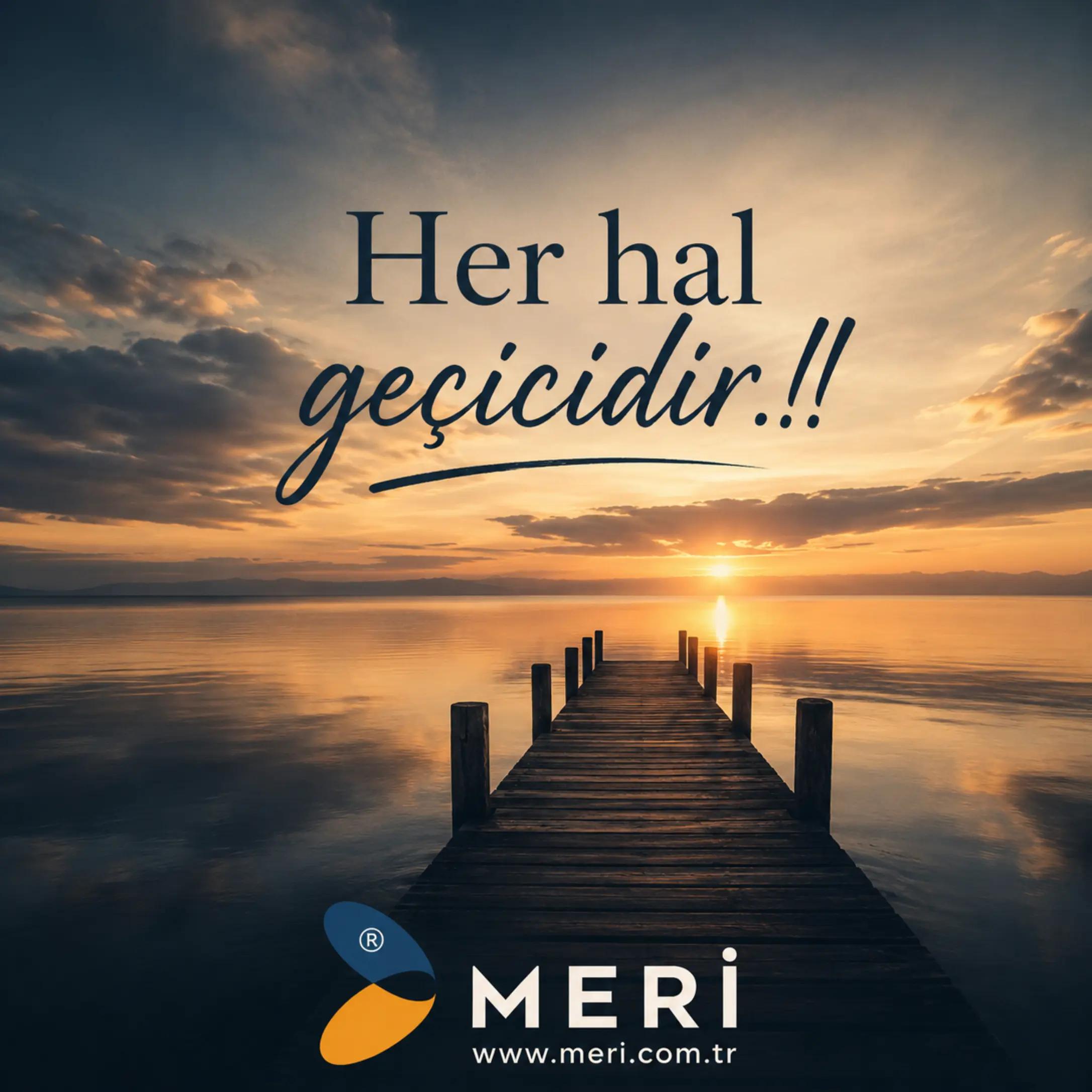 @Meri Sineklik İsmail Kurt