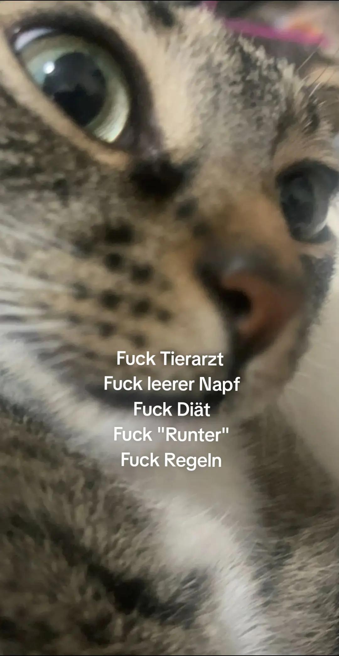 @EmiYn