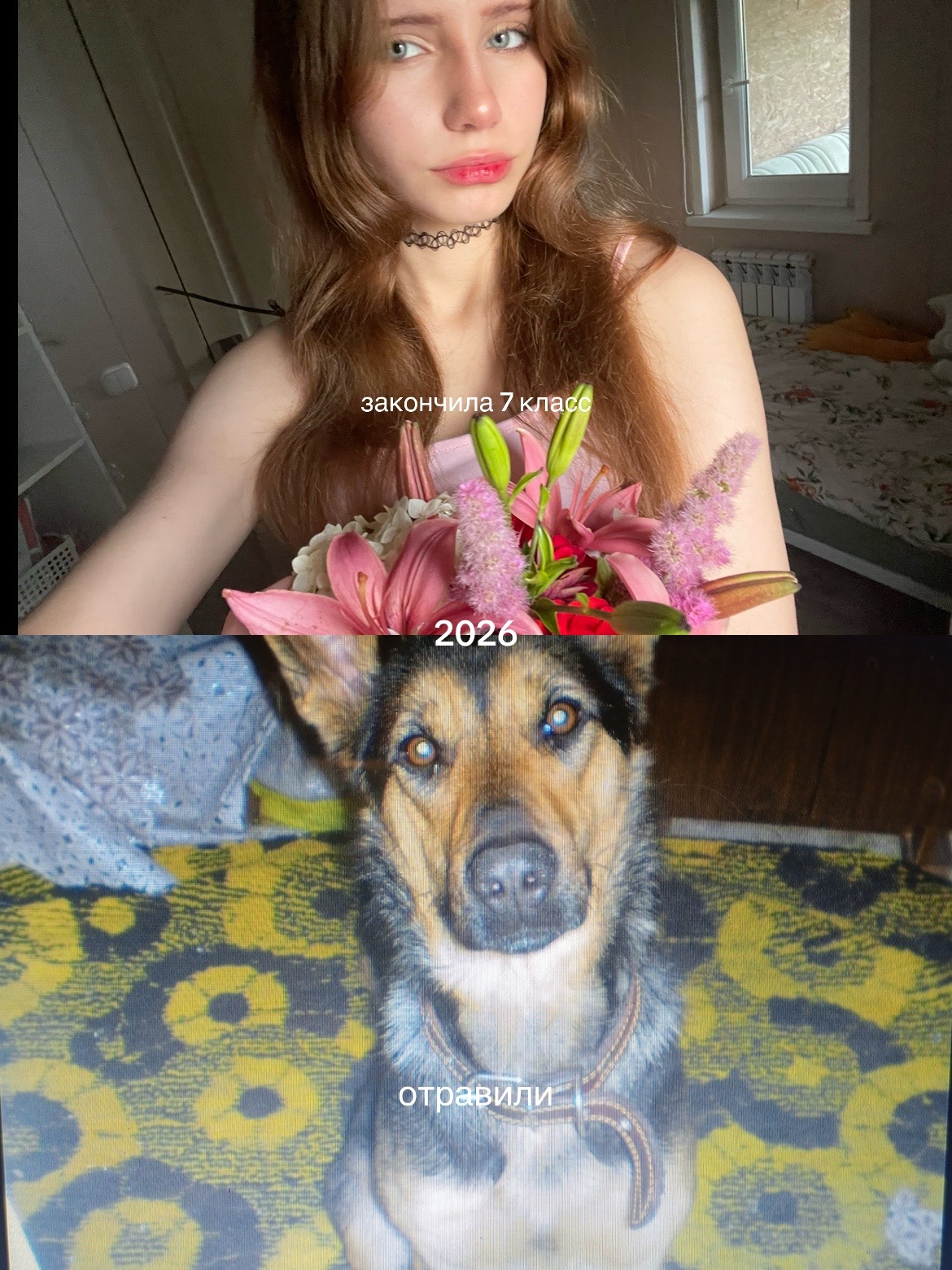 @викуша