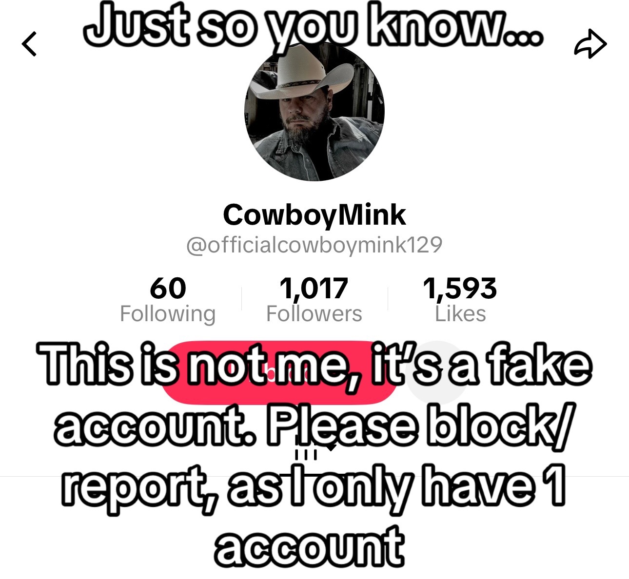 @CowboyMink