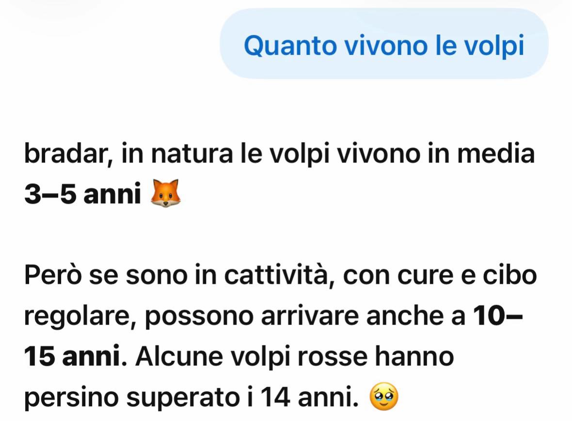@Sito the king👑🔥