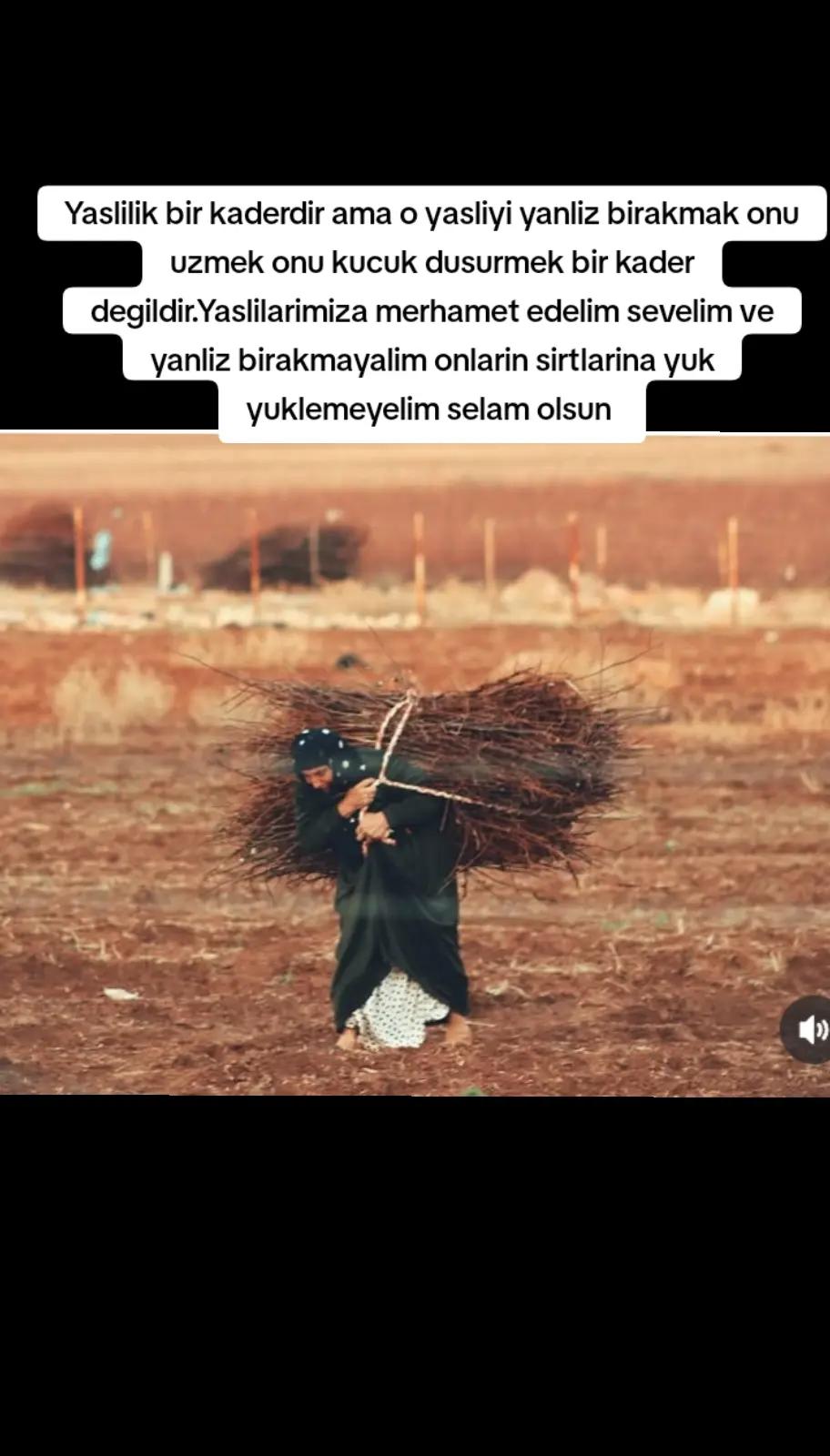 @Suskun