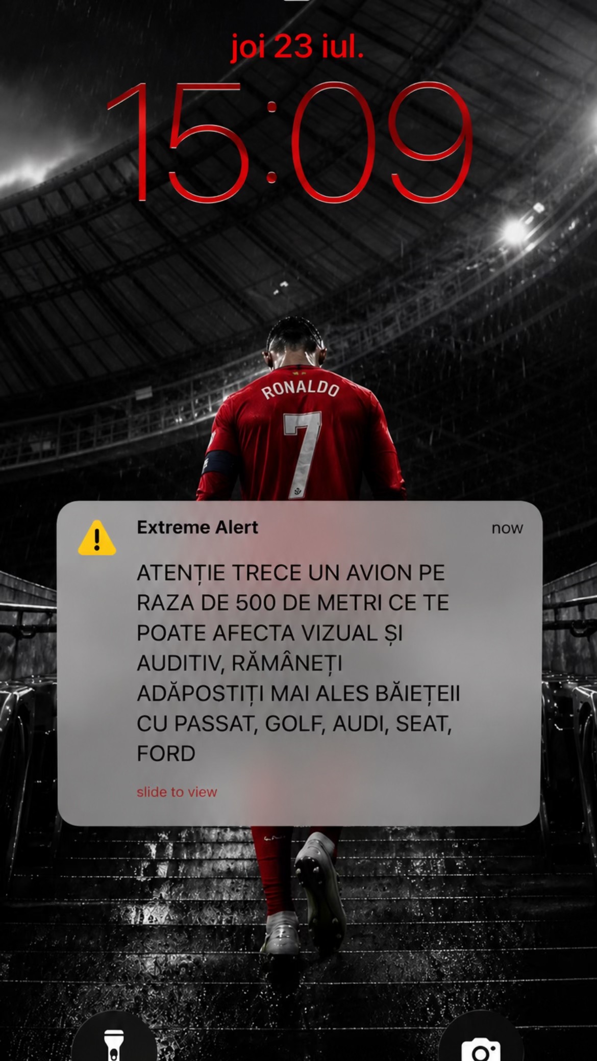 @renaldo