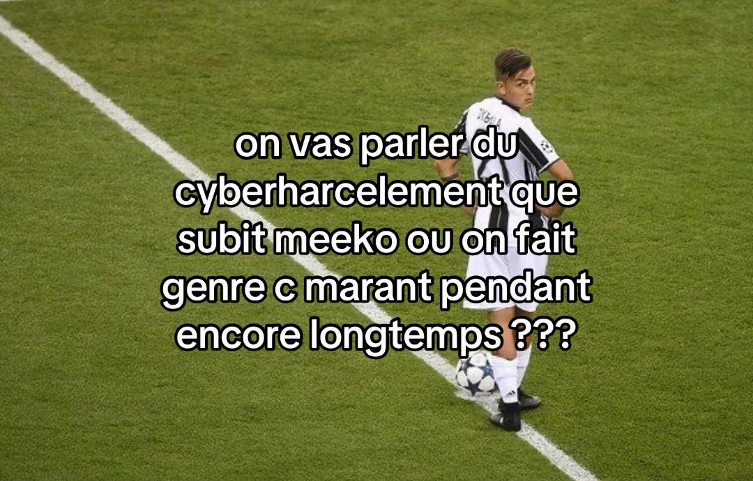 @fakemitraillette2014