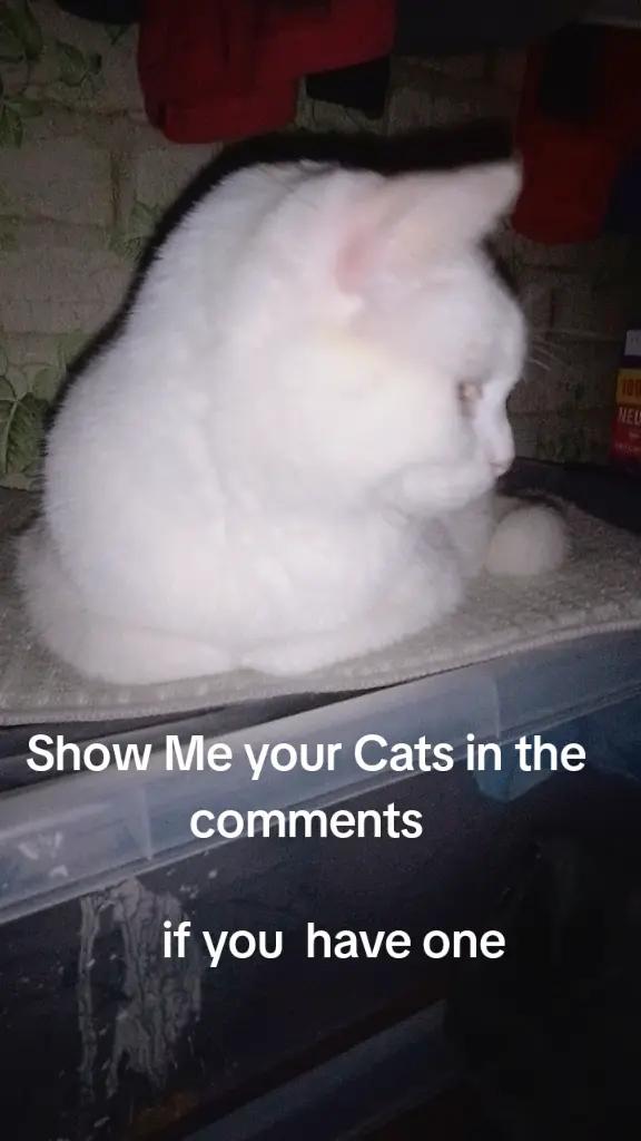 @MADARA/EDITS