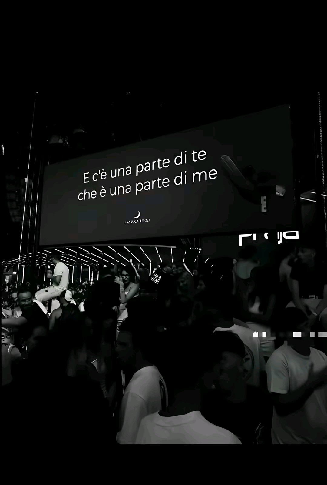 @ℒ🪽
