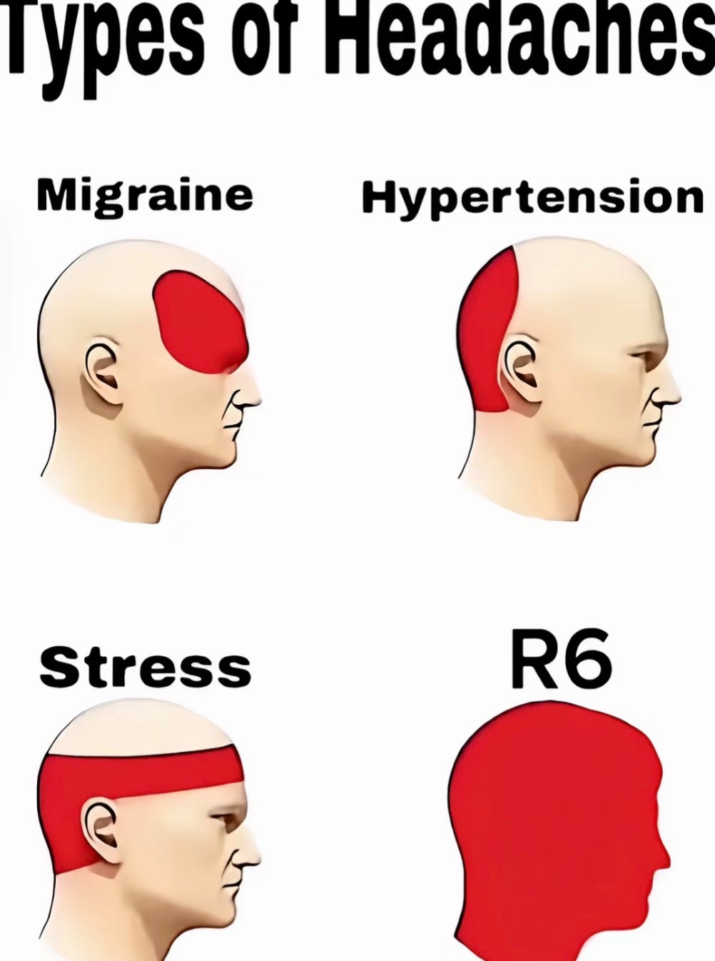 @Roses