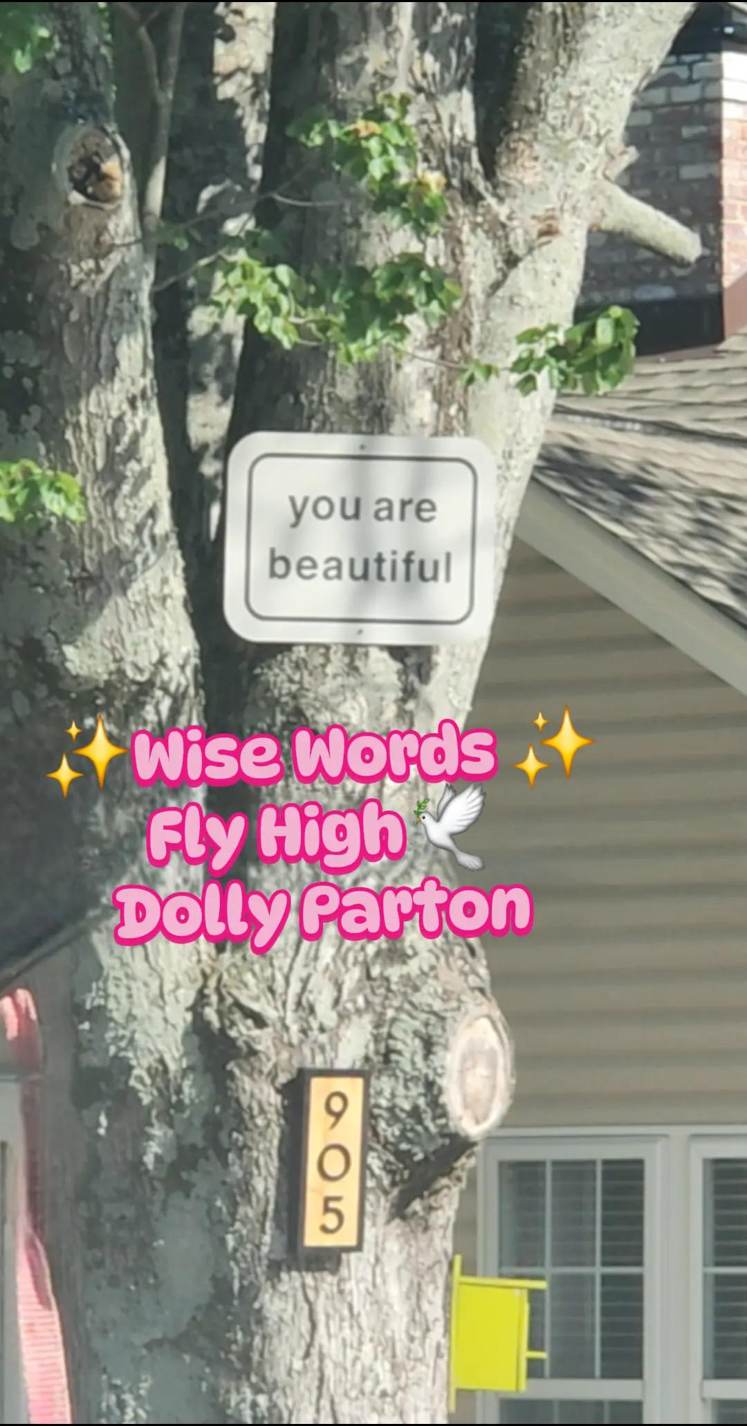 @✨️💕Chantel 💕✨️