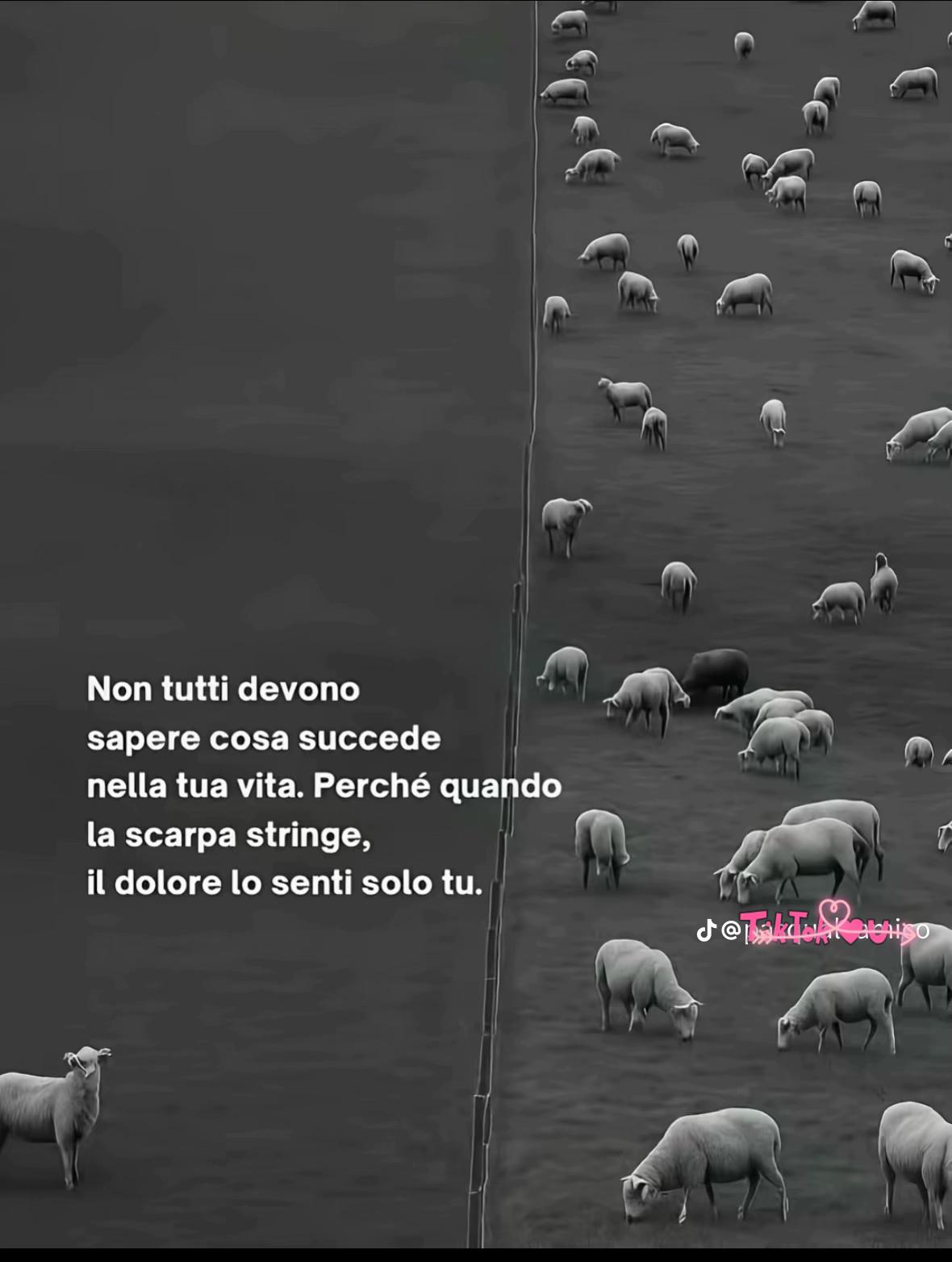 @Sonia Mandatori