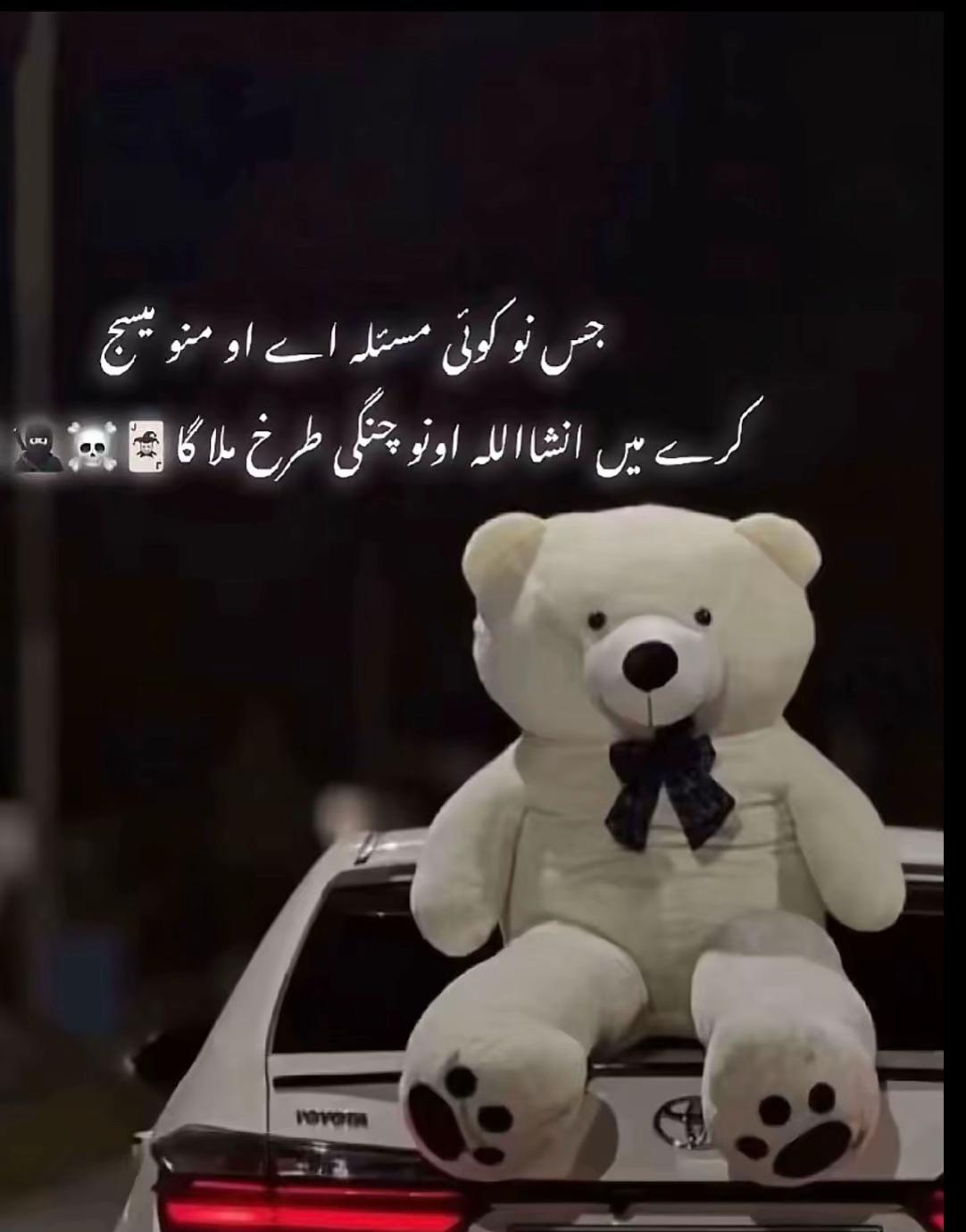 @ASIM chOHaN دلانوالہ