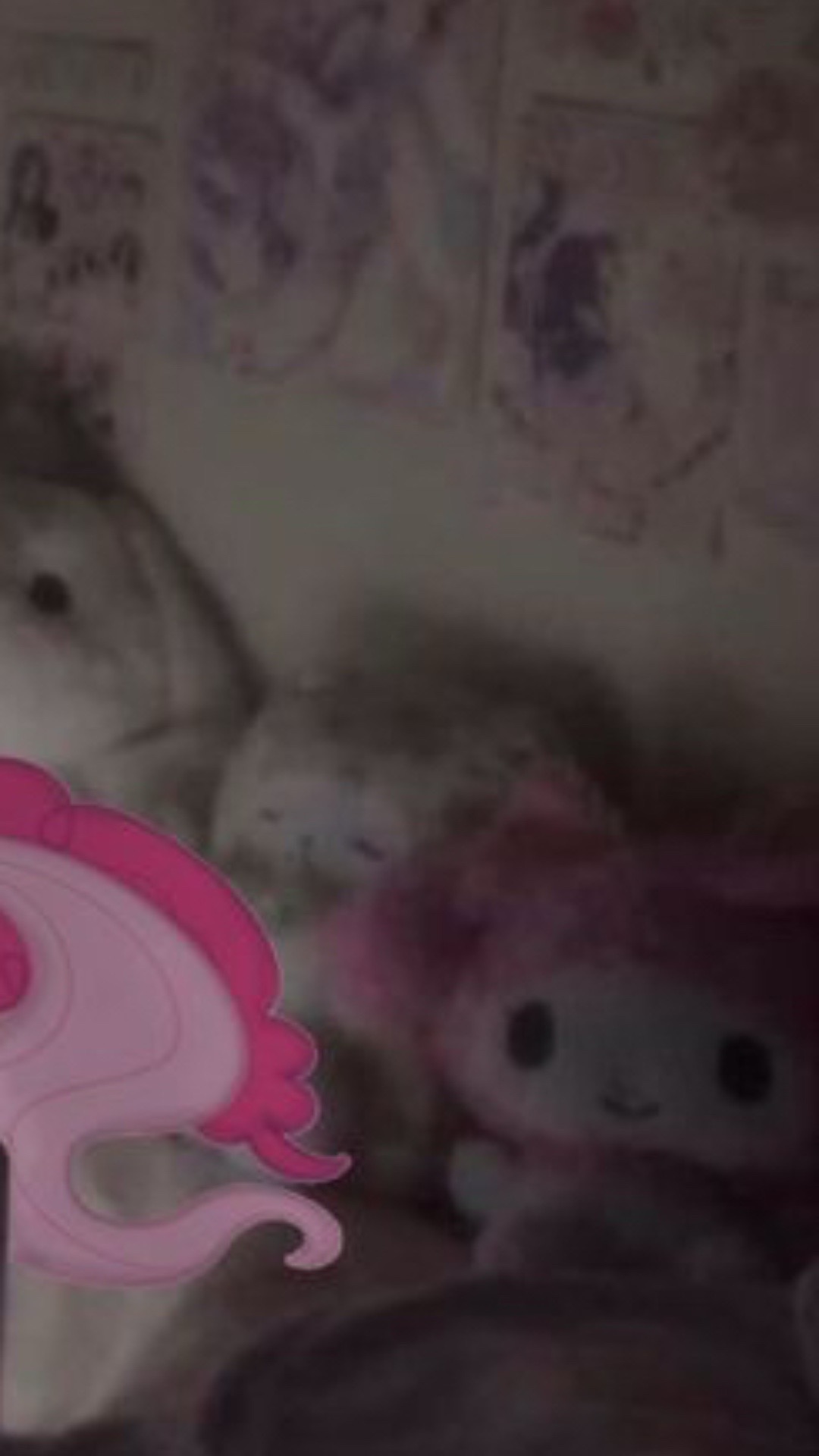 @Sweet cumsh0t