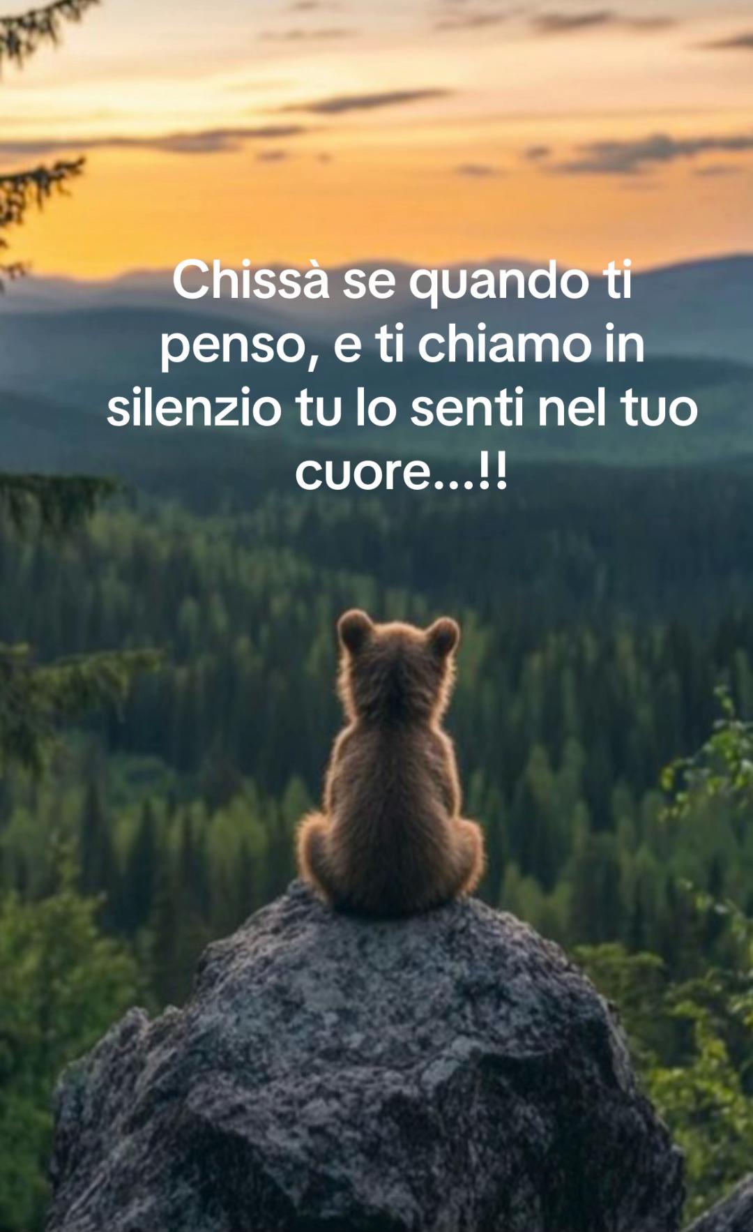 @Orsetto