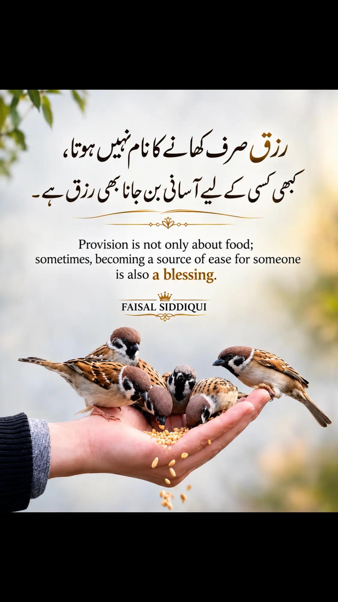 @faisal.siddqui125
