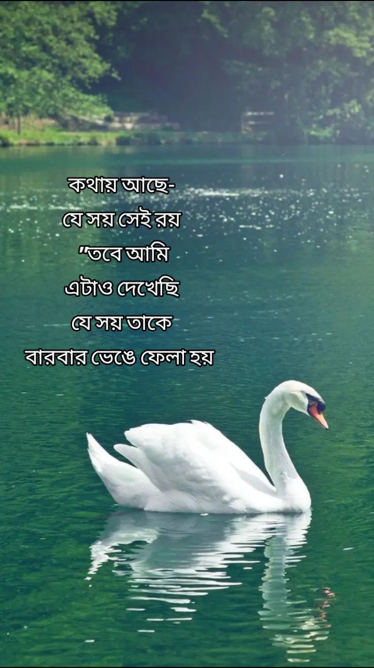 @Tamuuđ