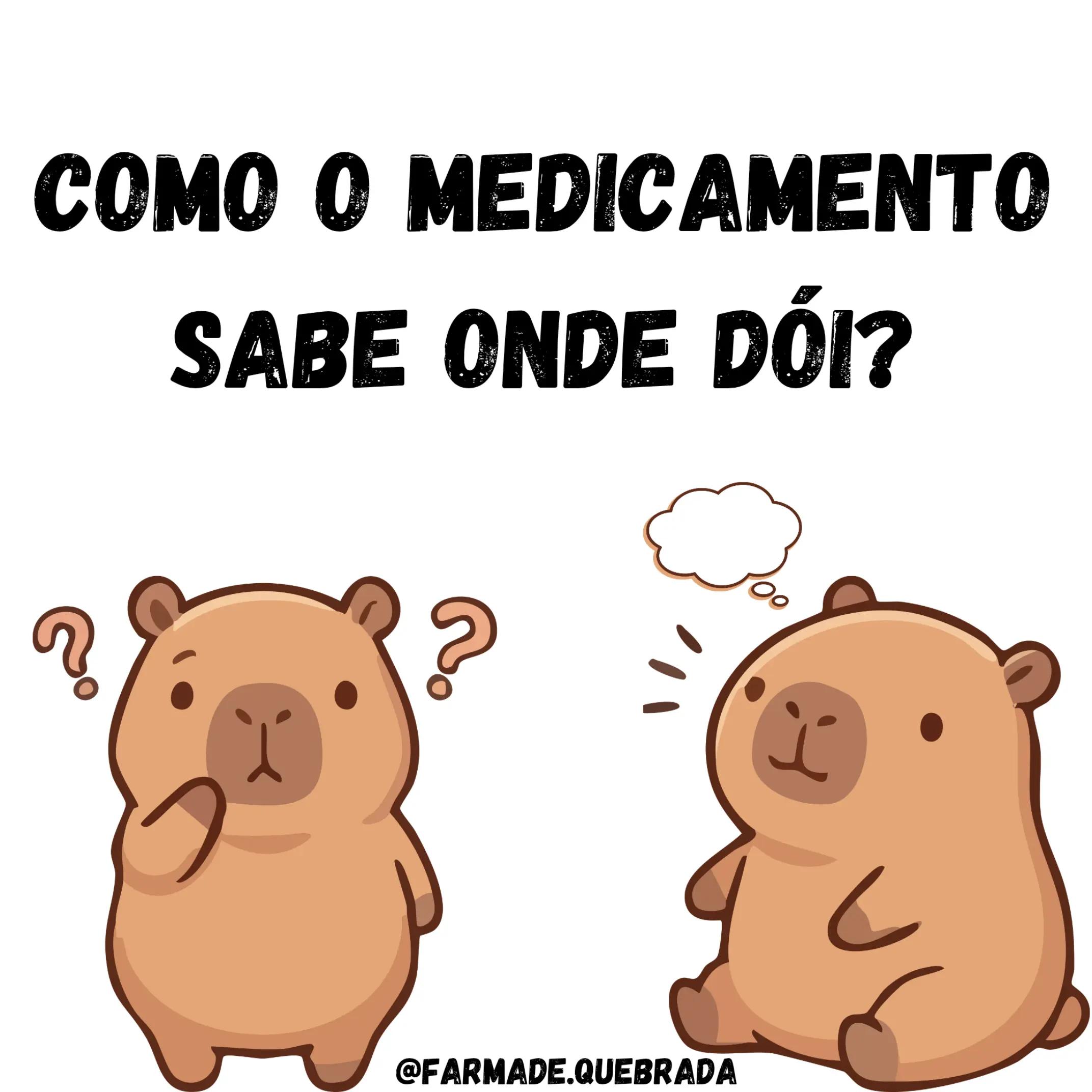 @Farma de Quebrada | Roberta