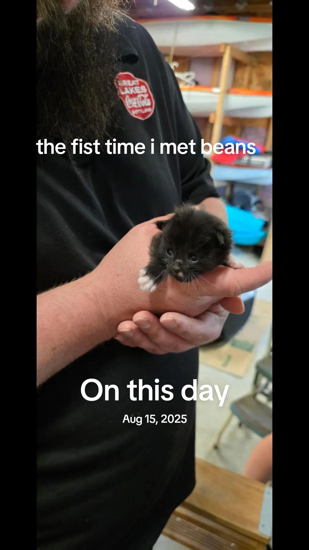 @Xenn