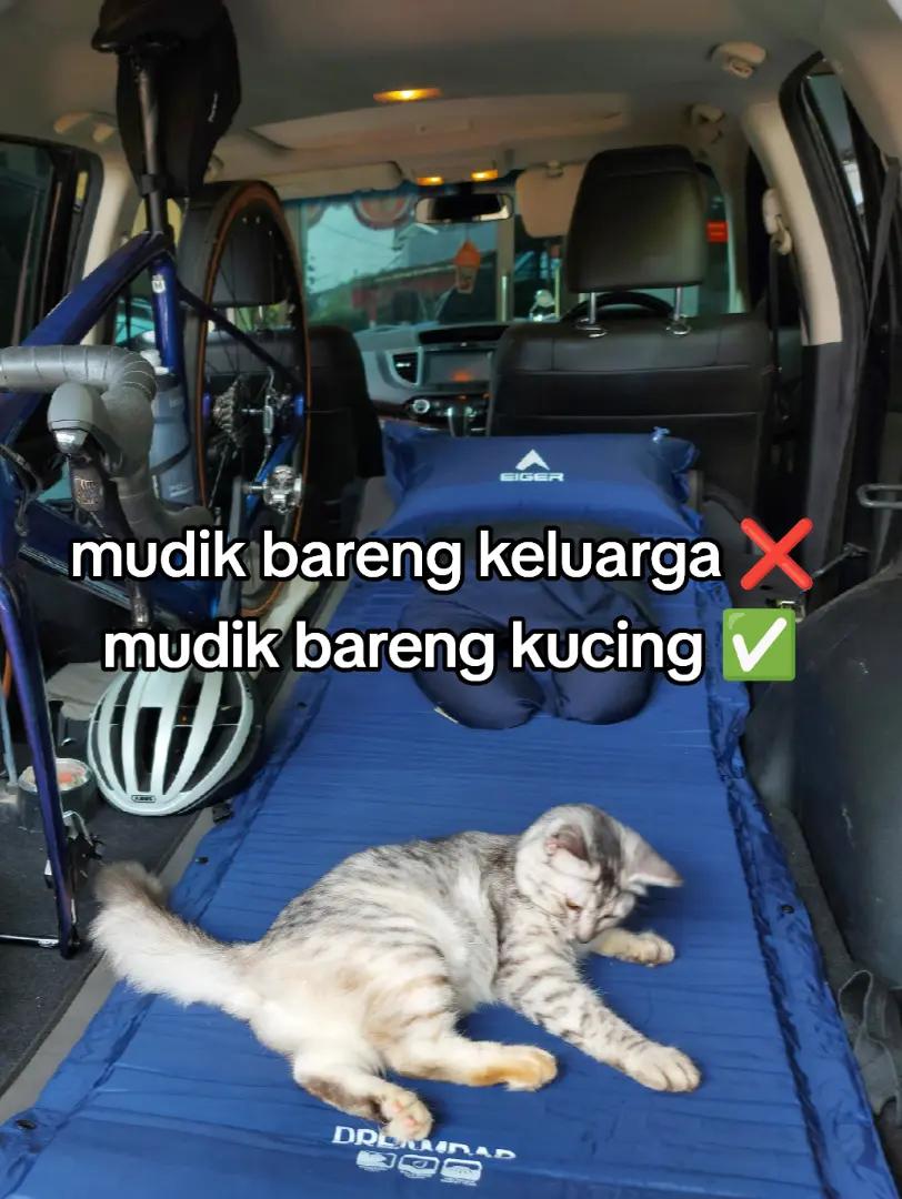 @Digdaya Nusantara