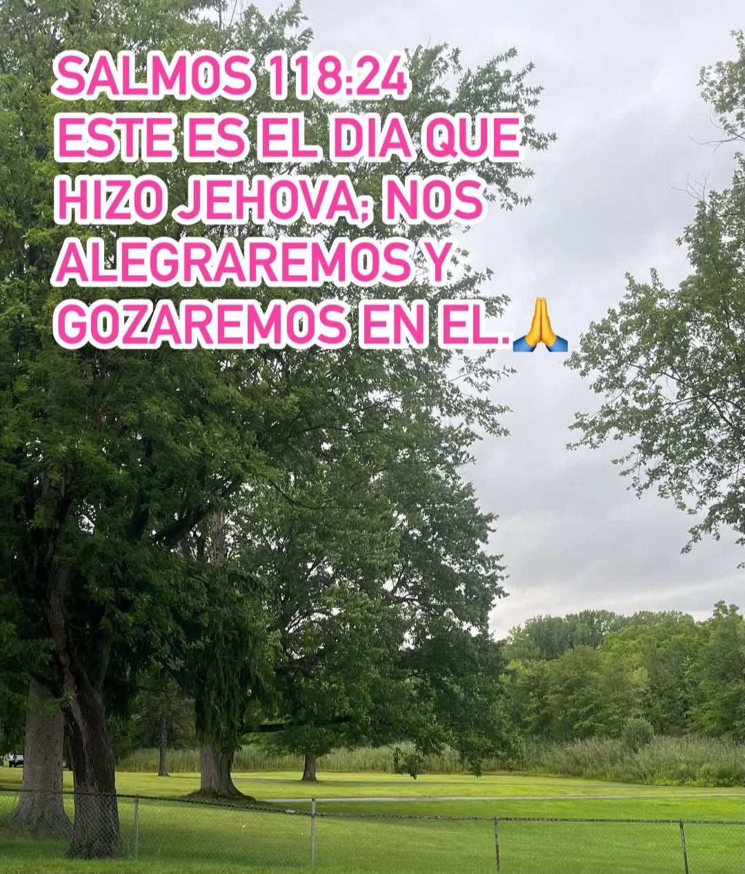 @Gisela