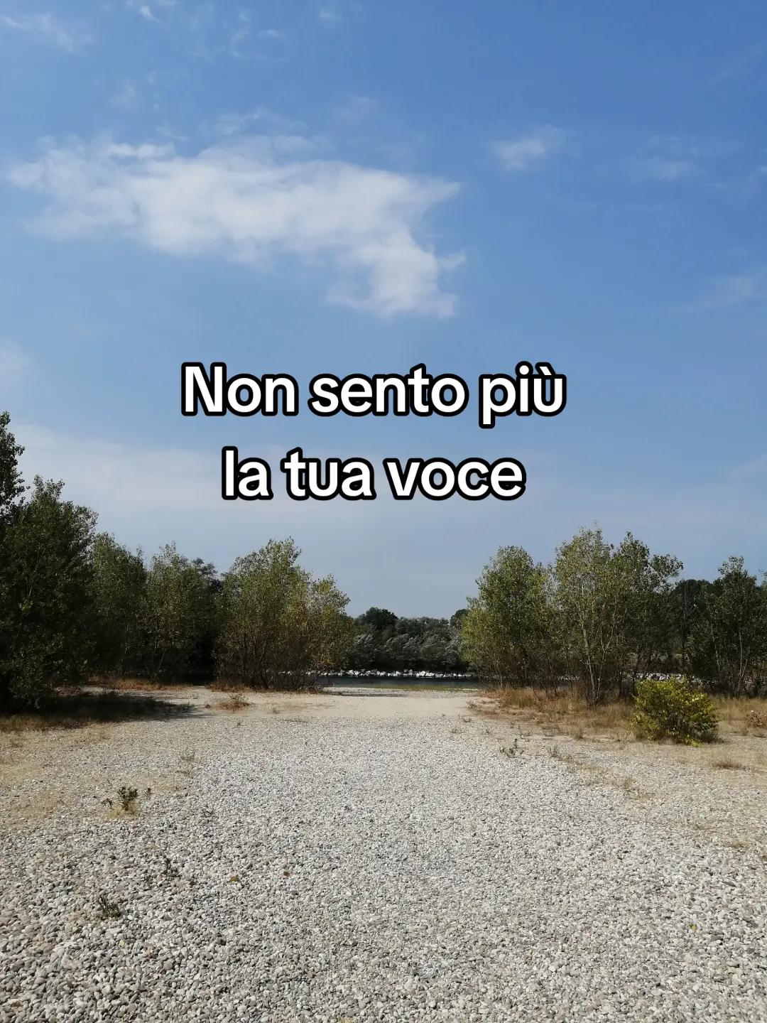 @Argeta Brozi