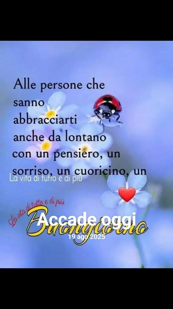 @Emilia d'avino