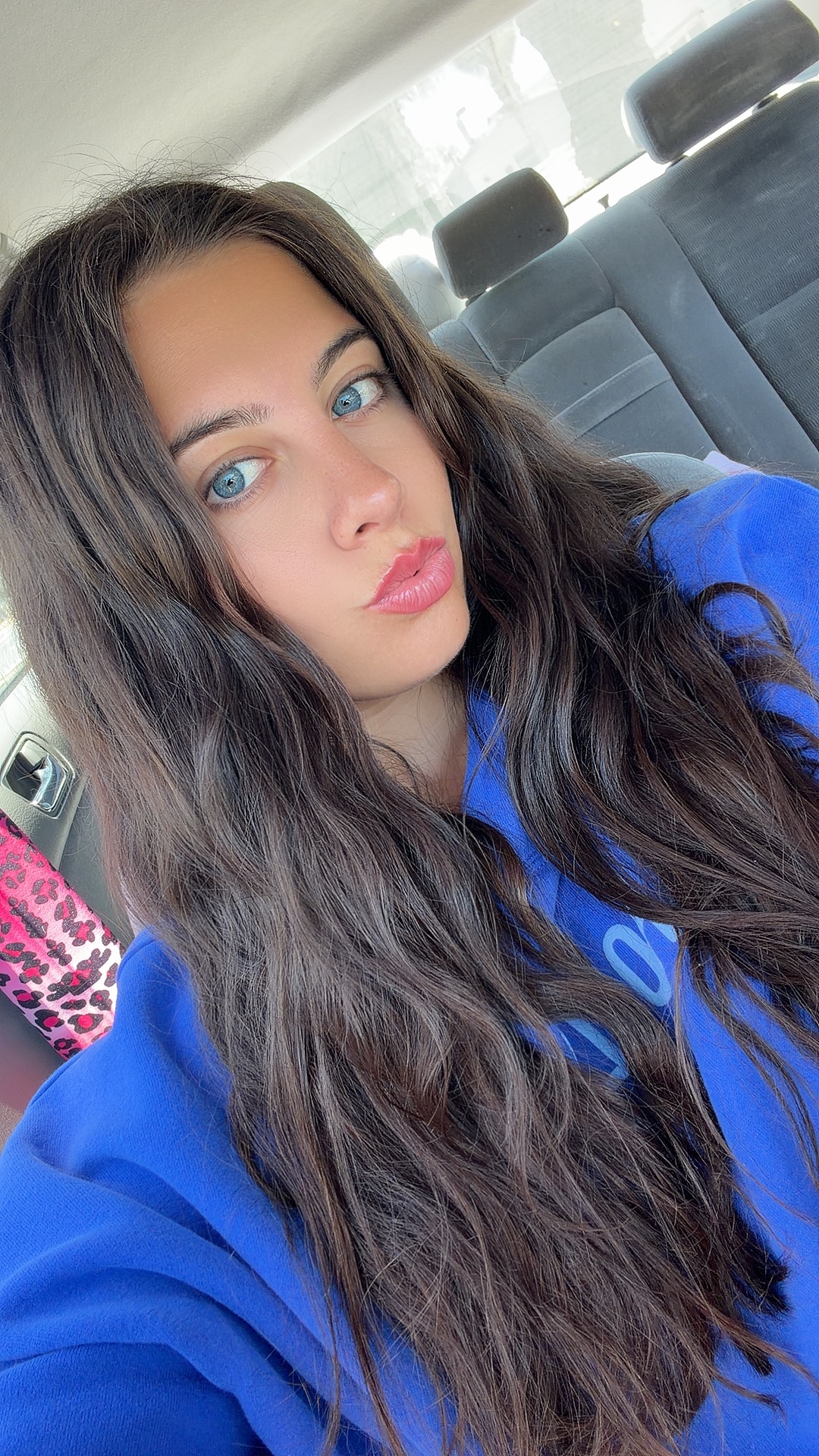 @arielloveskittens