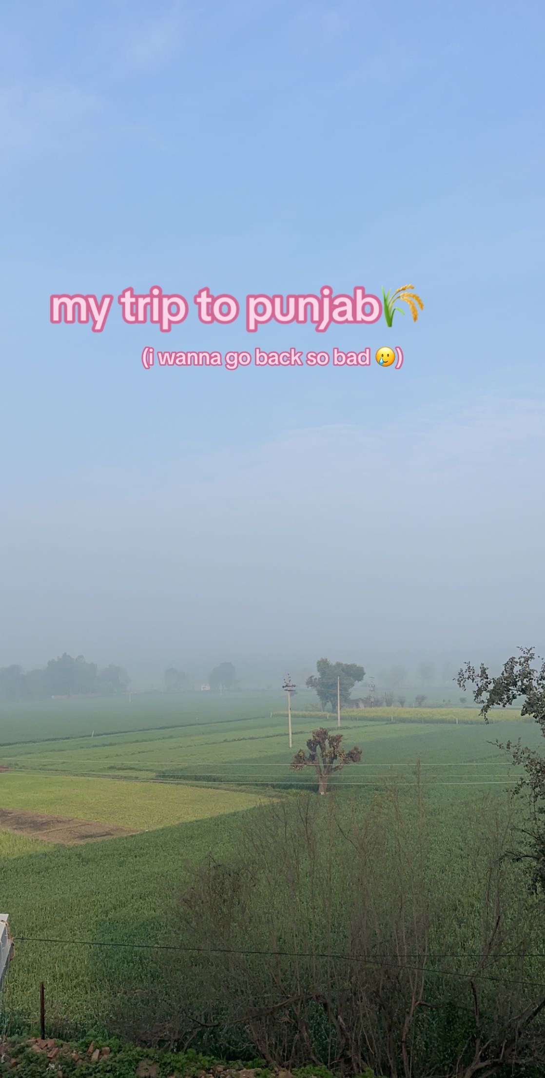 @mehak sidhu