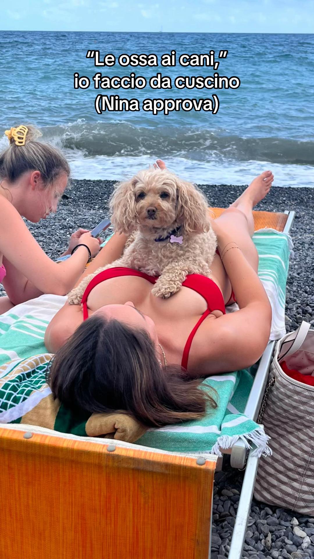 @Virginiastecco