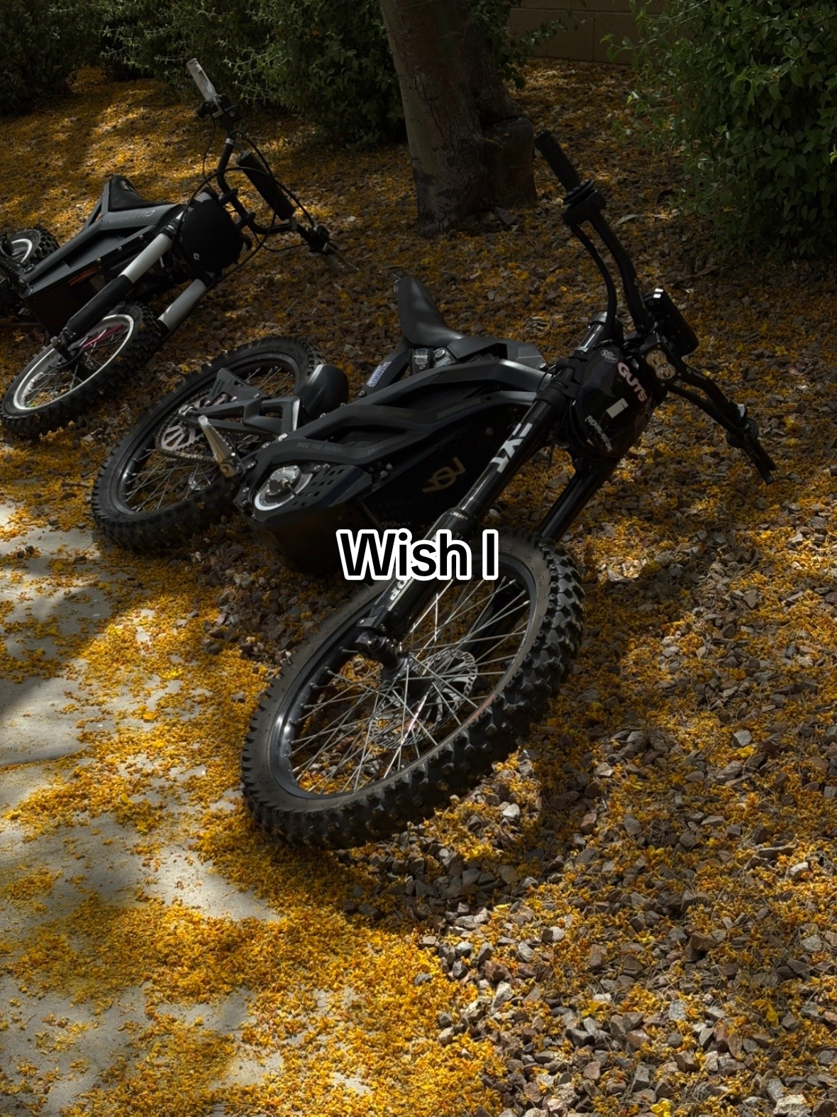@𝟟𝟚𝕞𝕚𝕔𝕒𝕙.