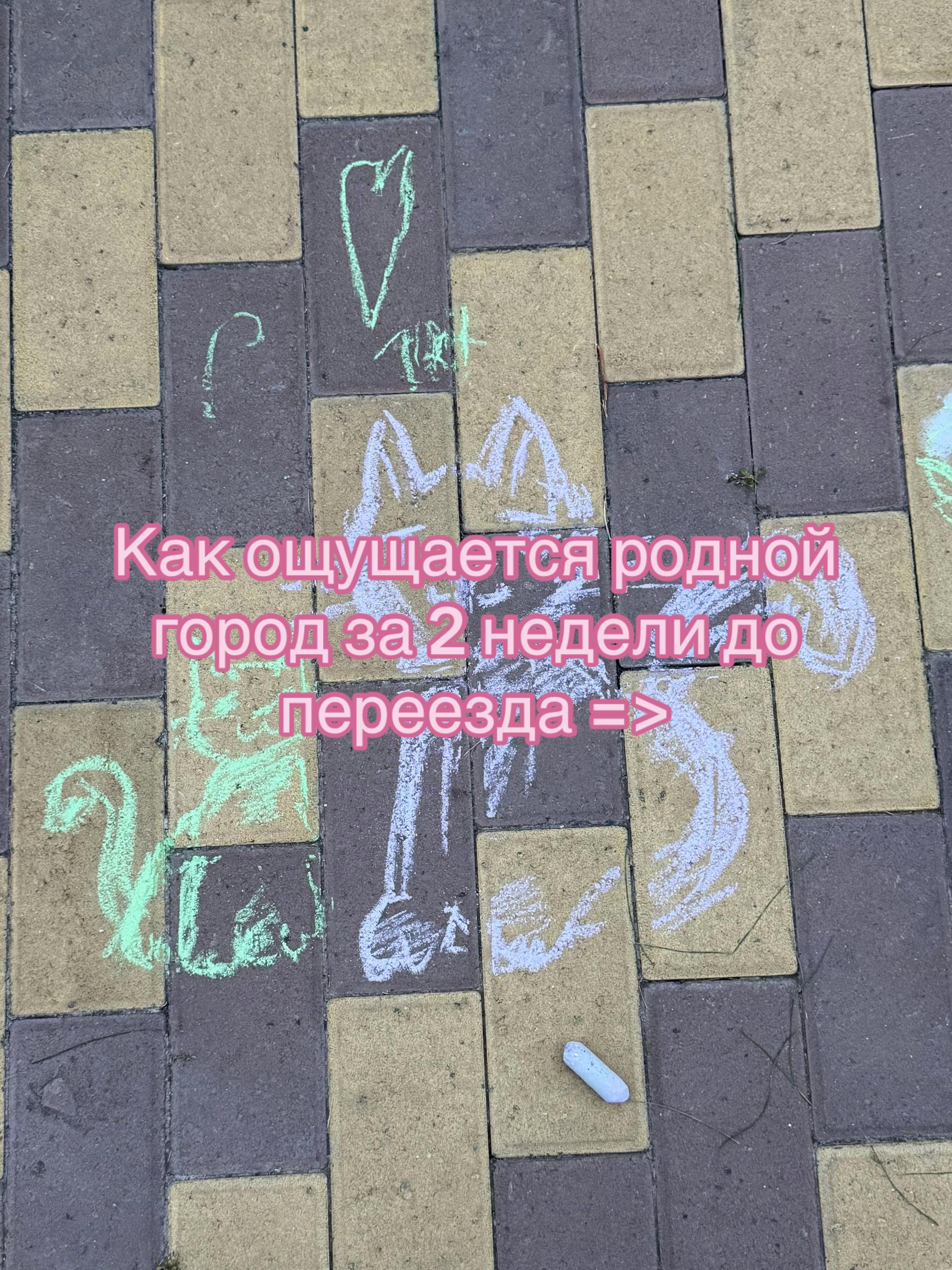 @masha/玛莎