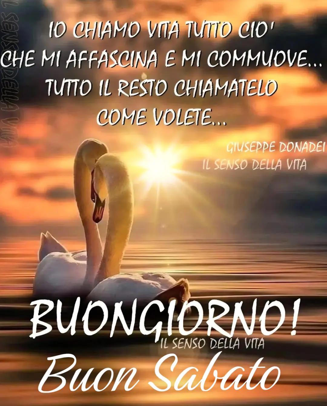 @Antonio💙ariete♈️