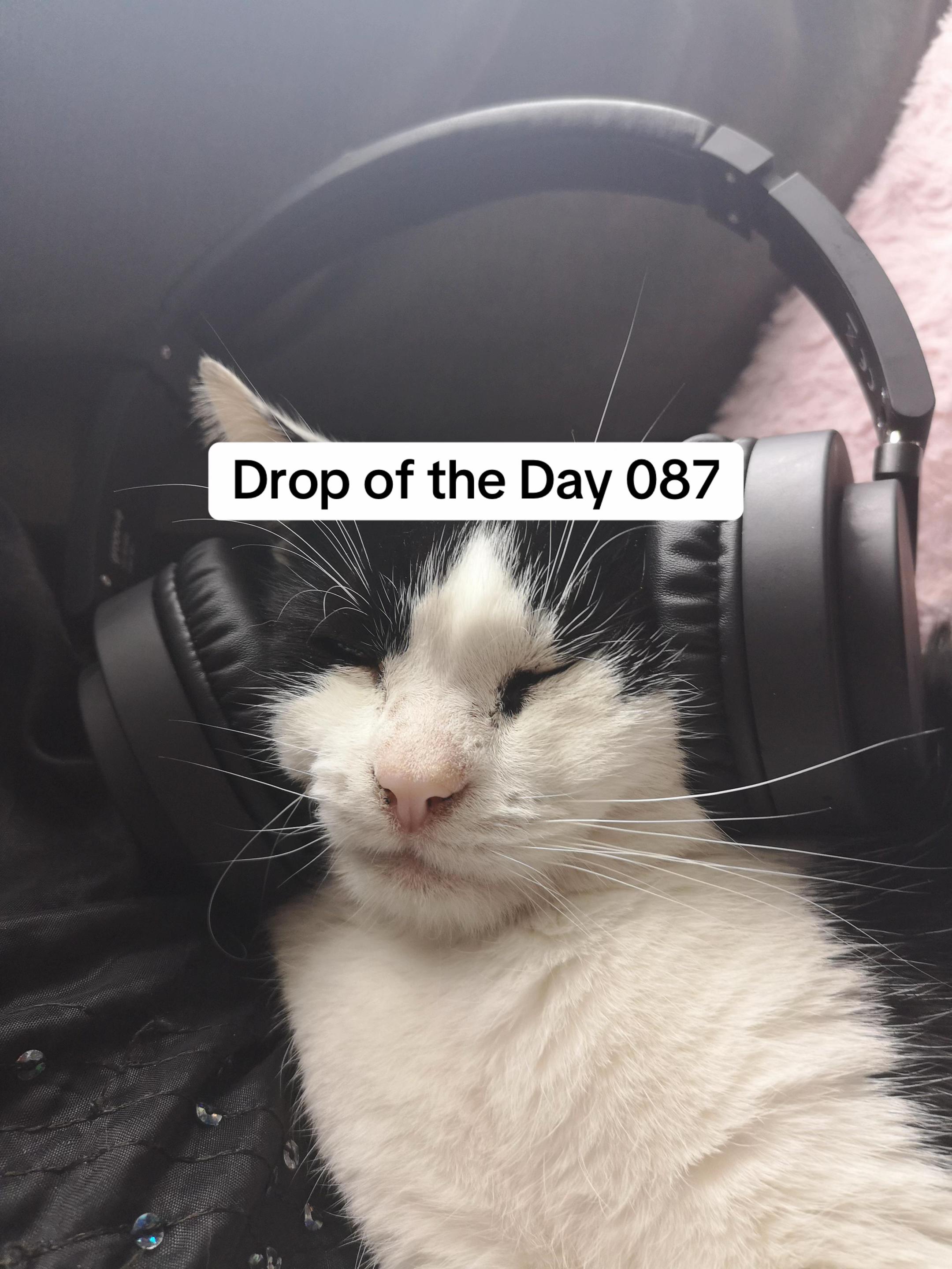 @Bass Hive