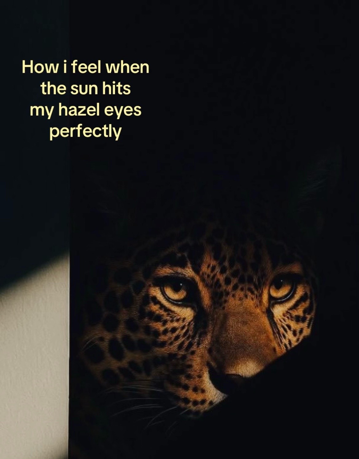 @Liz Kozy