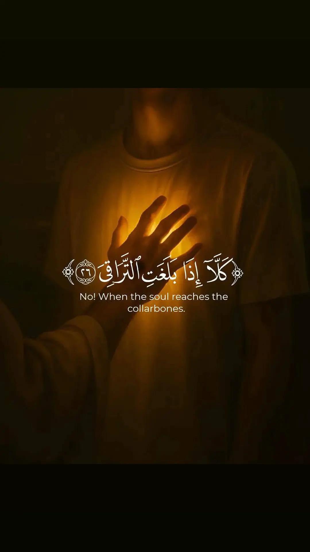 @MIKHAIL Ahmed