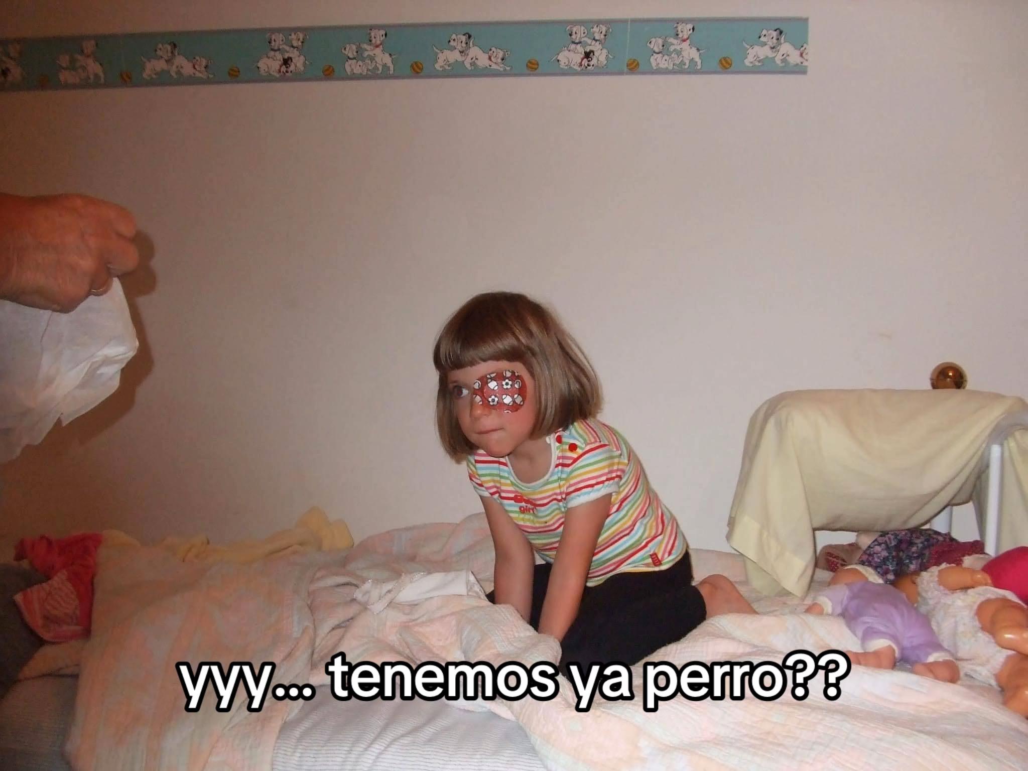 @soynaia