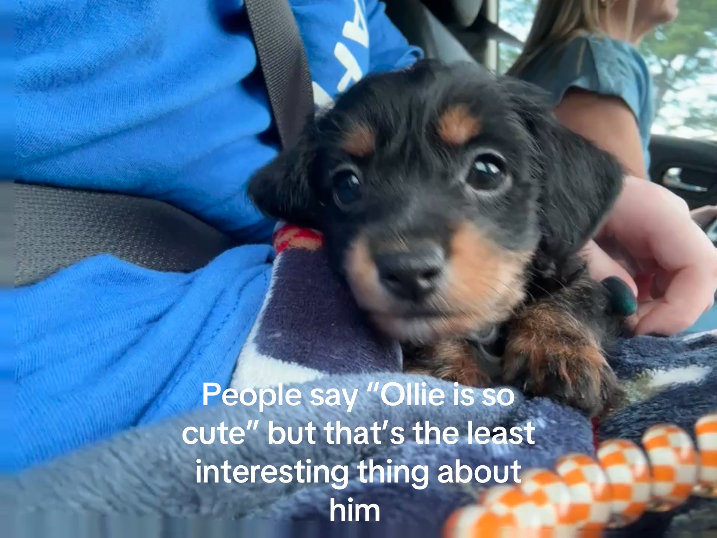@carly🦨