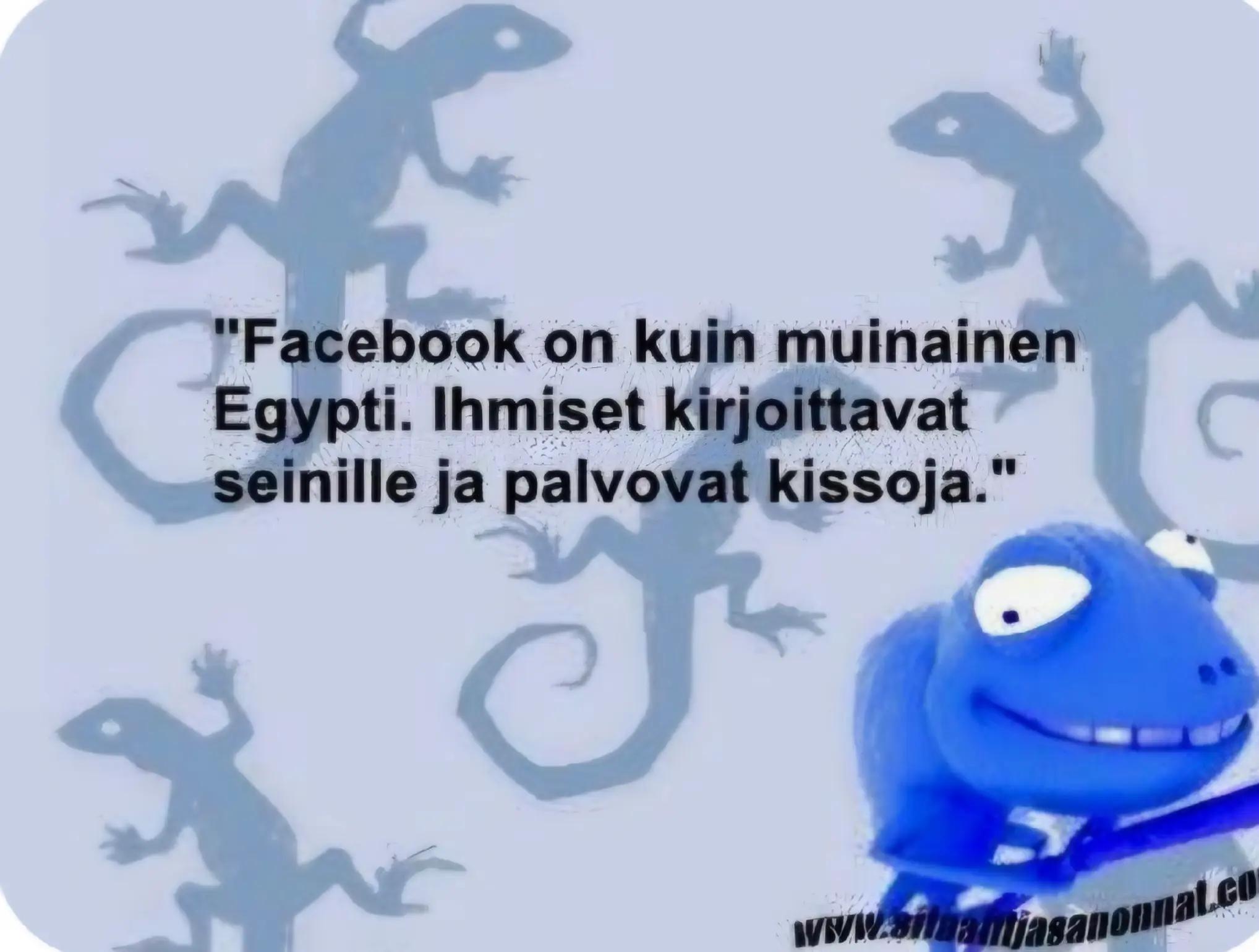 @majatar