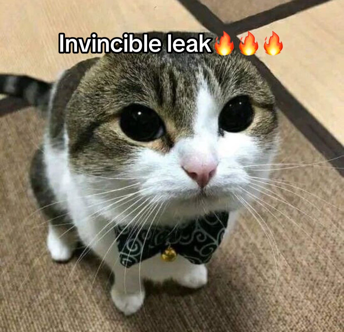 @Xeno