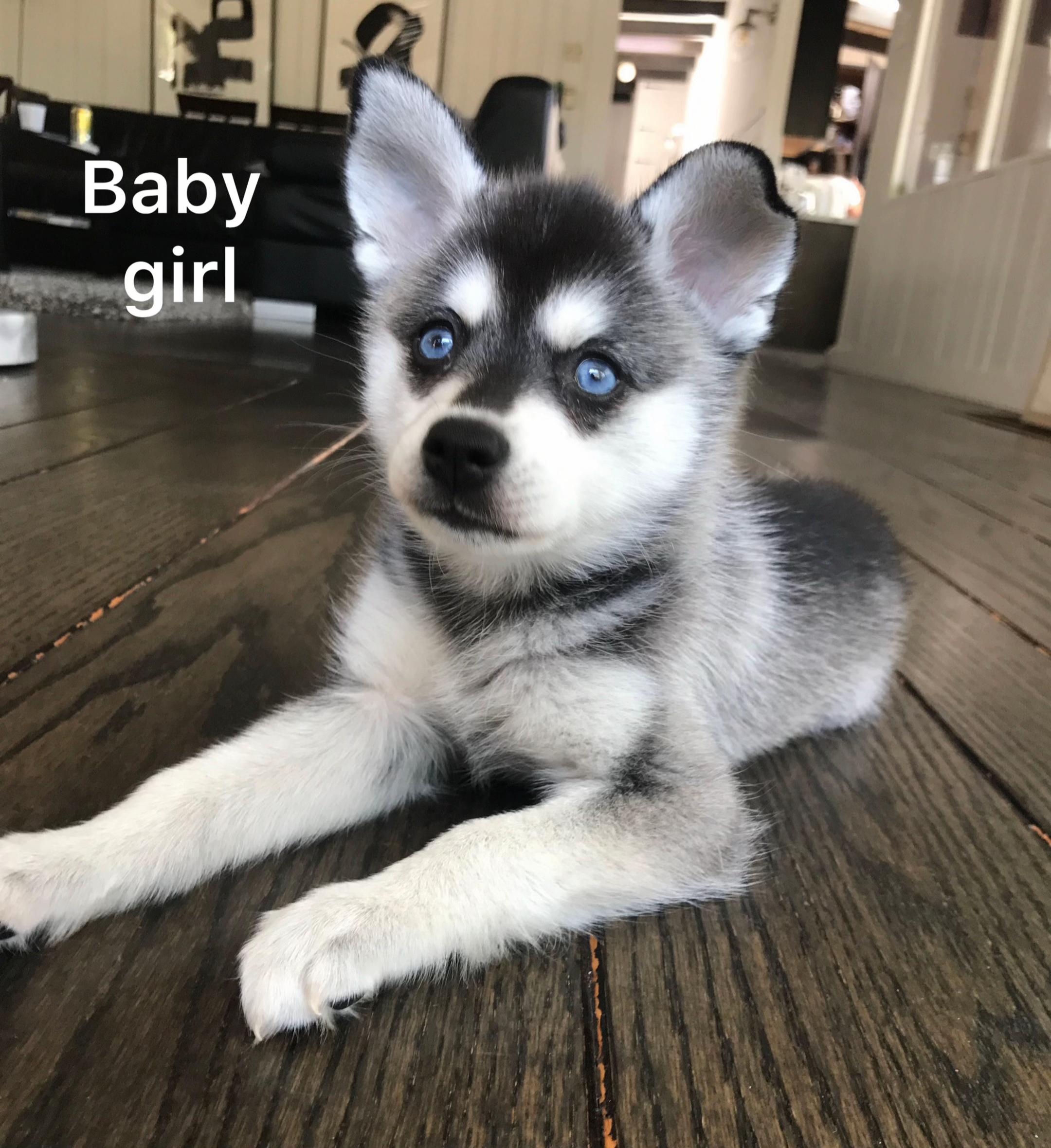 @lifewithkleekai