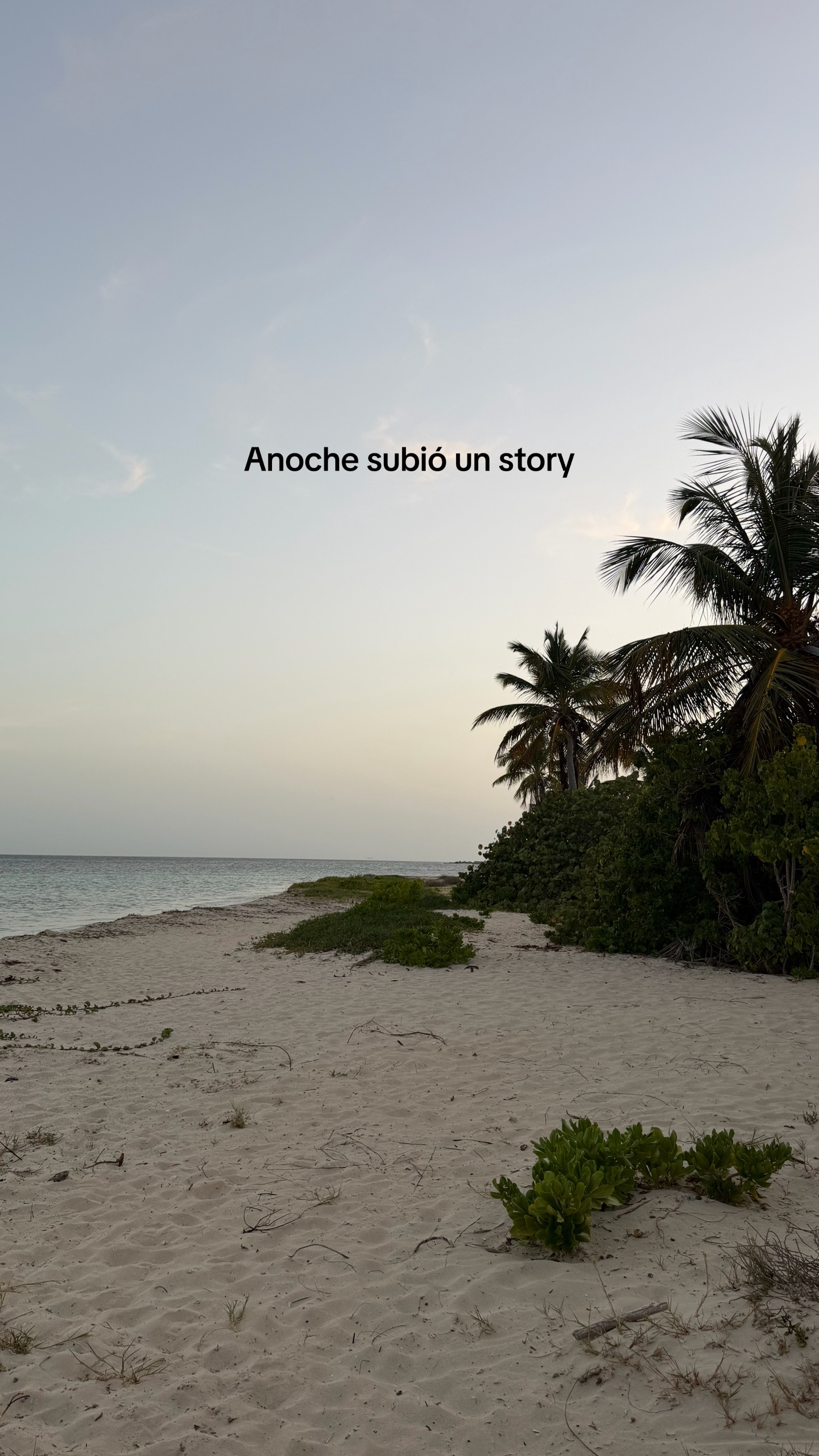 @andreagonzalegz
