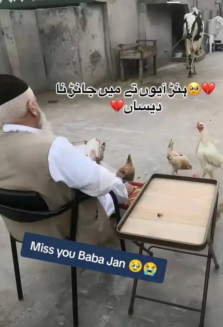 @Muzamil Hayat