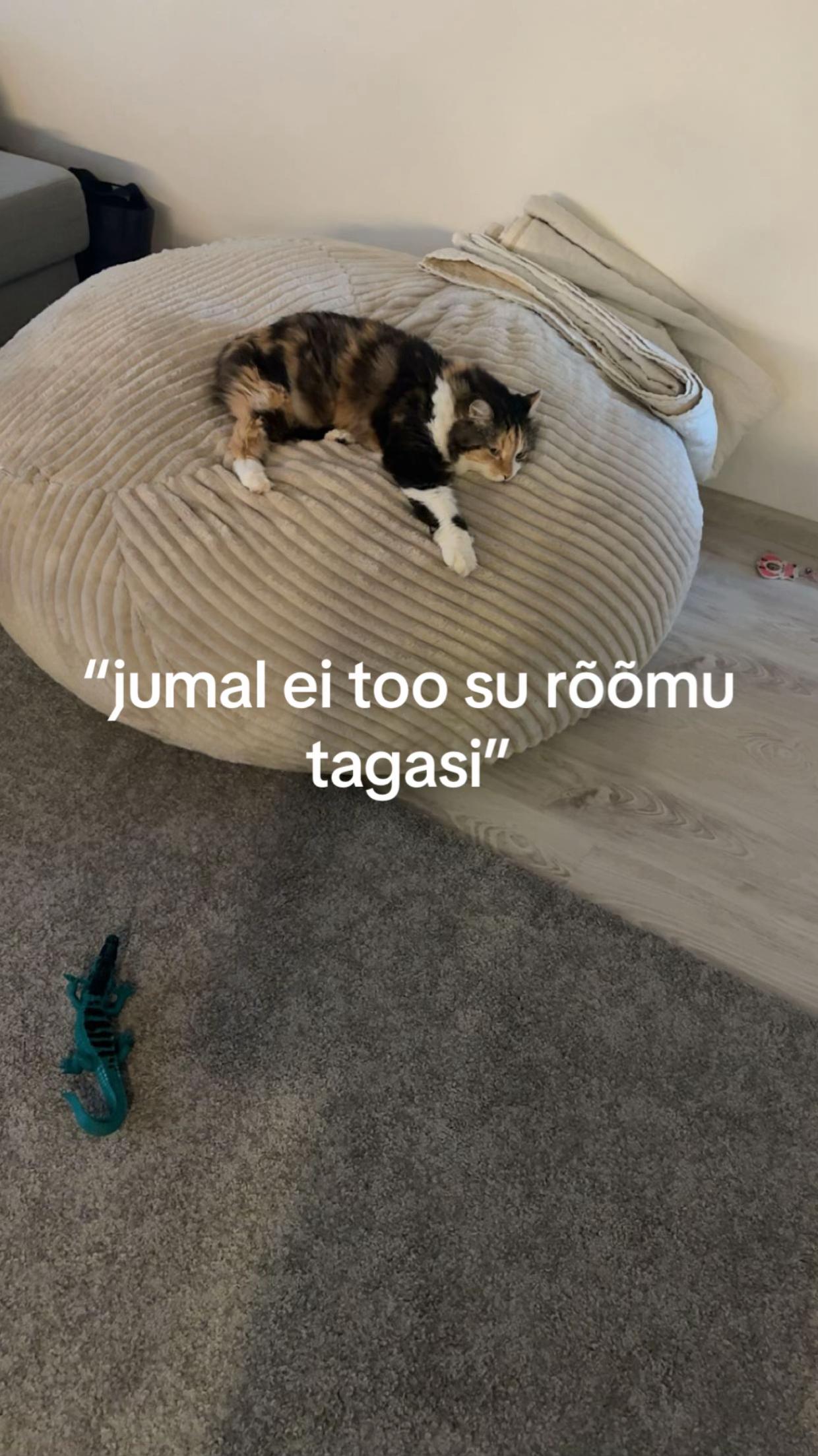 @karolin 🧘&zwj;♀️