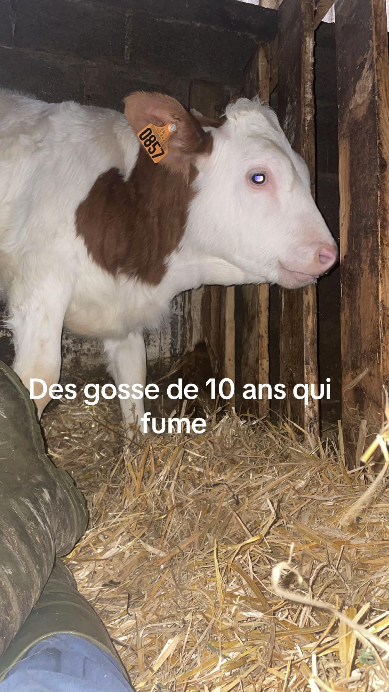 @Nono_🇫🇷🇫🇷