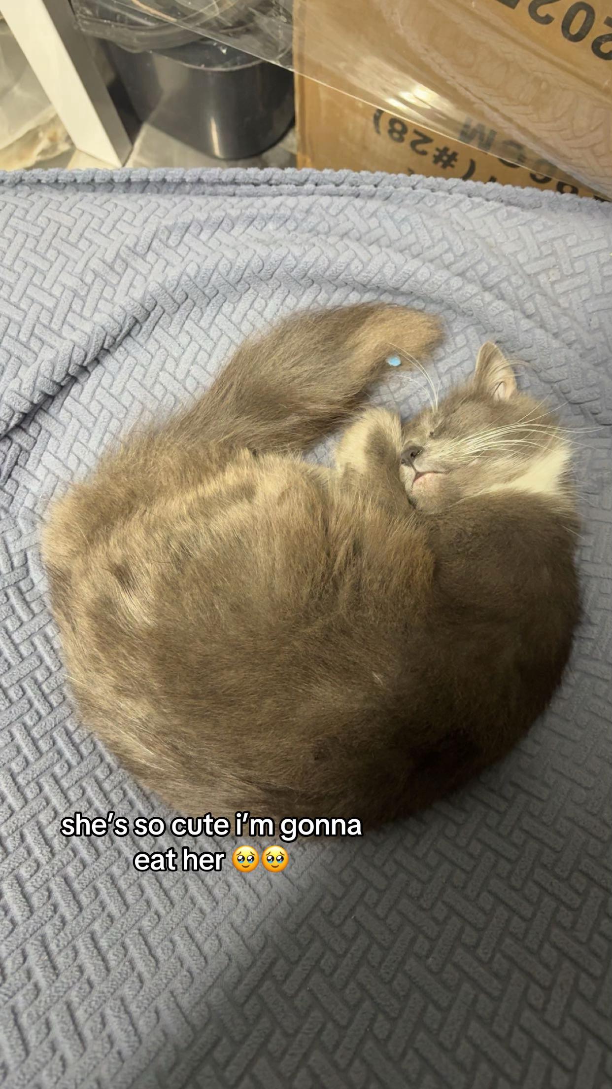 @𝐄𝐫𝐢𝐣 ꨄ︎