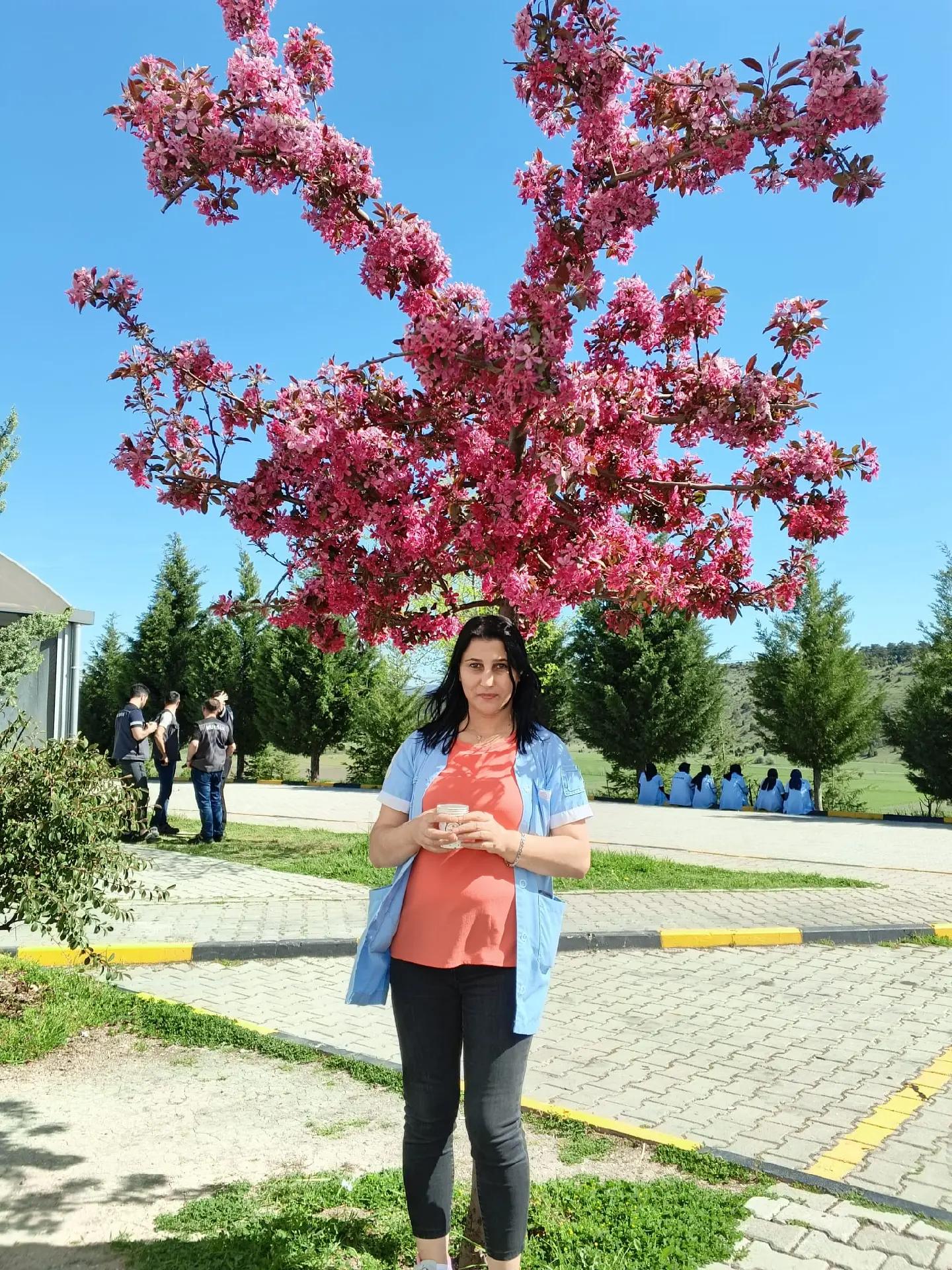 @Ayşe