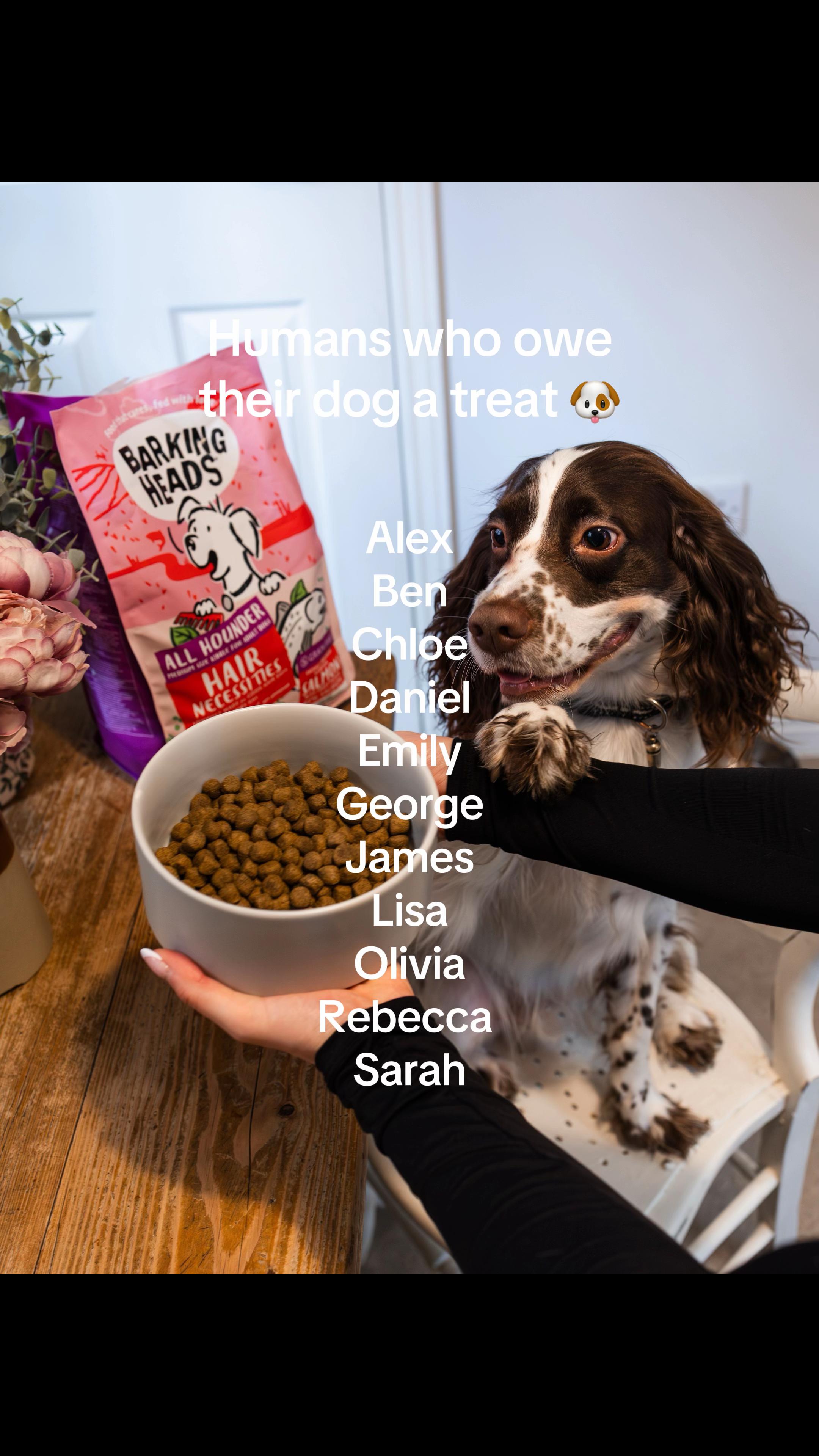 @Barking Heads Dog Food