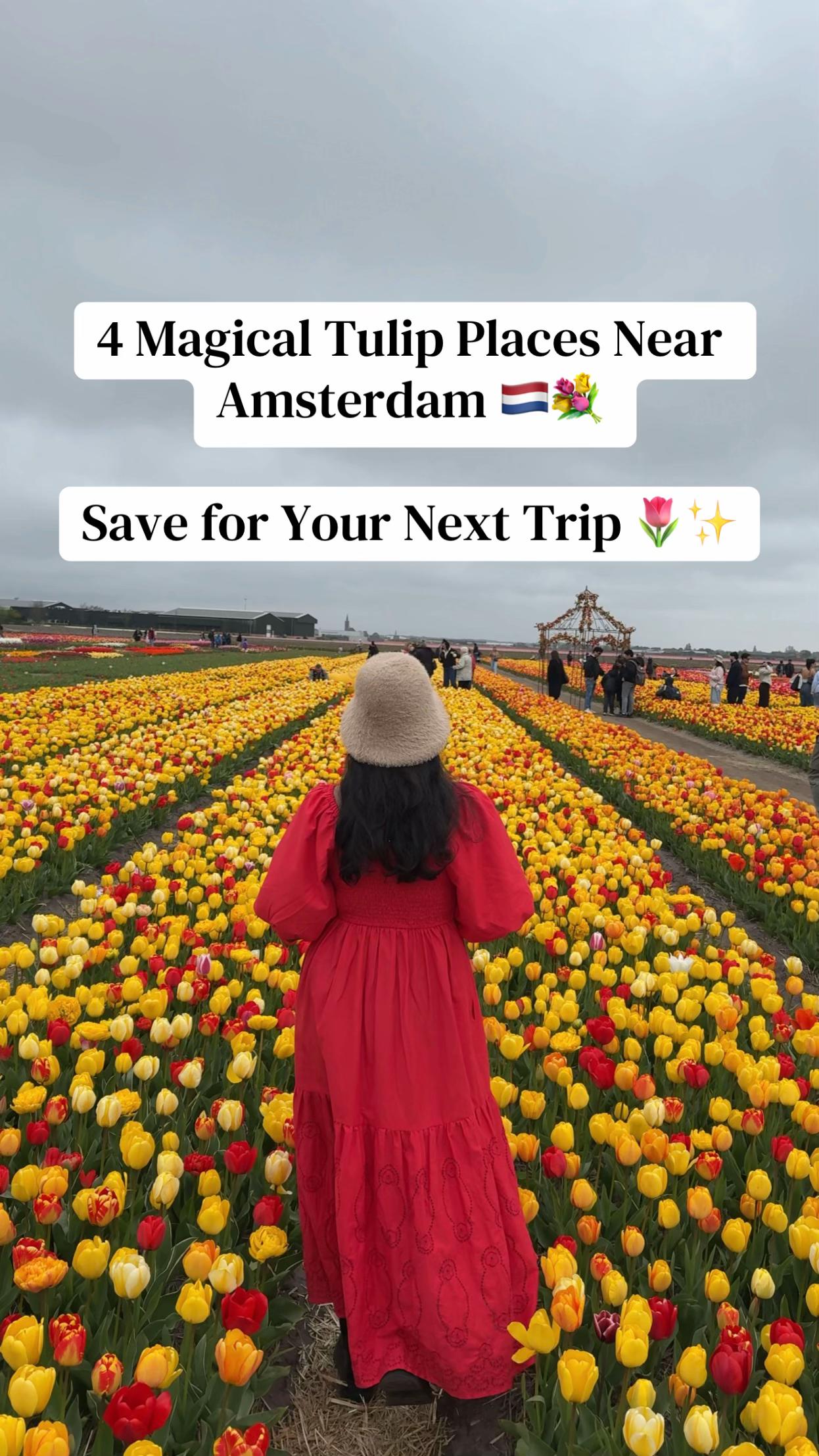 @Travel With Sudu in🇩🇪Germany