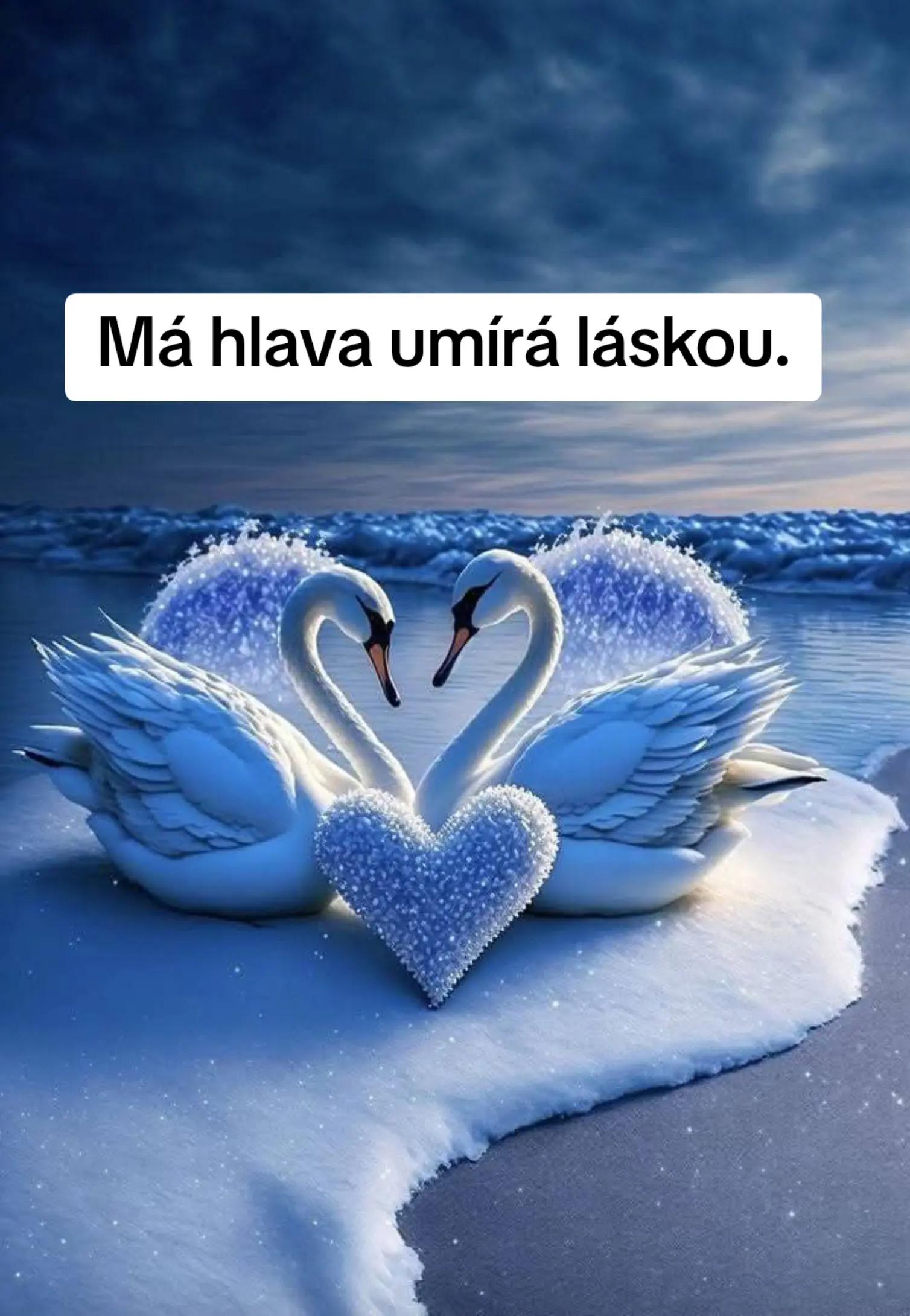 @♡ 𝕃&aacute;𝕤𝕜𝕒_𝕔𝕚𝕥&aacute;𝕥𝕪 ♡