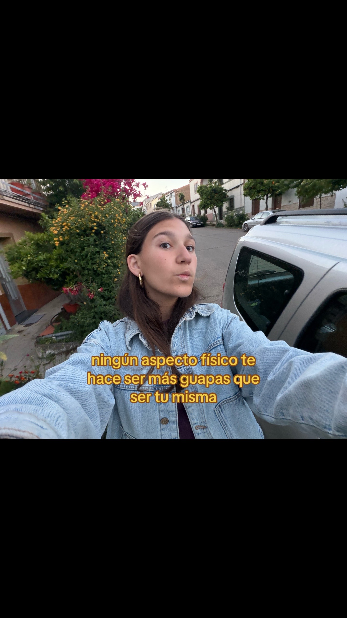 @cerdipous