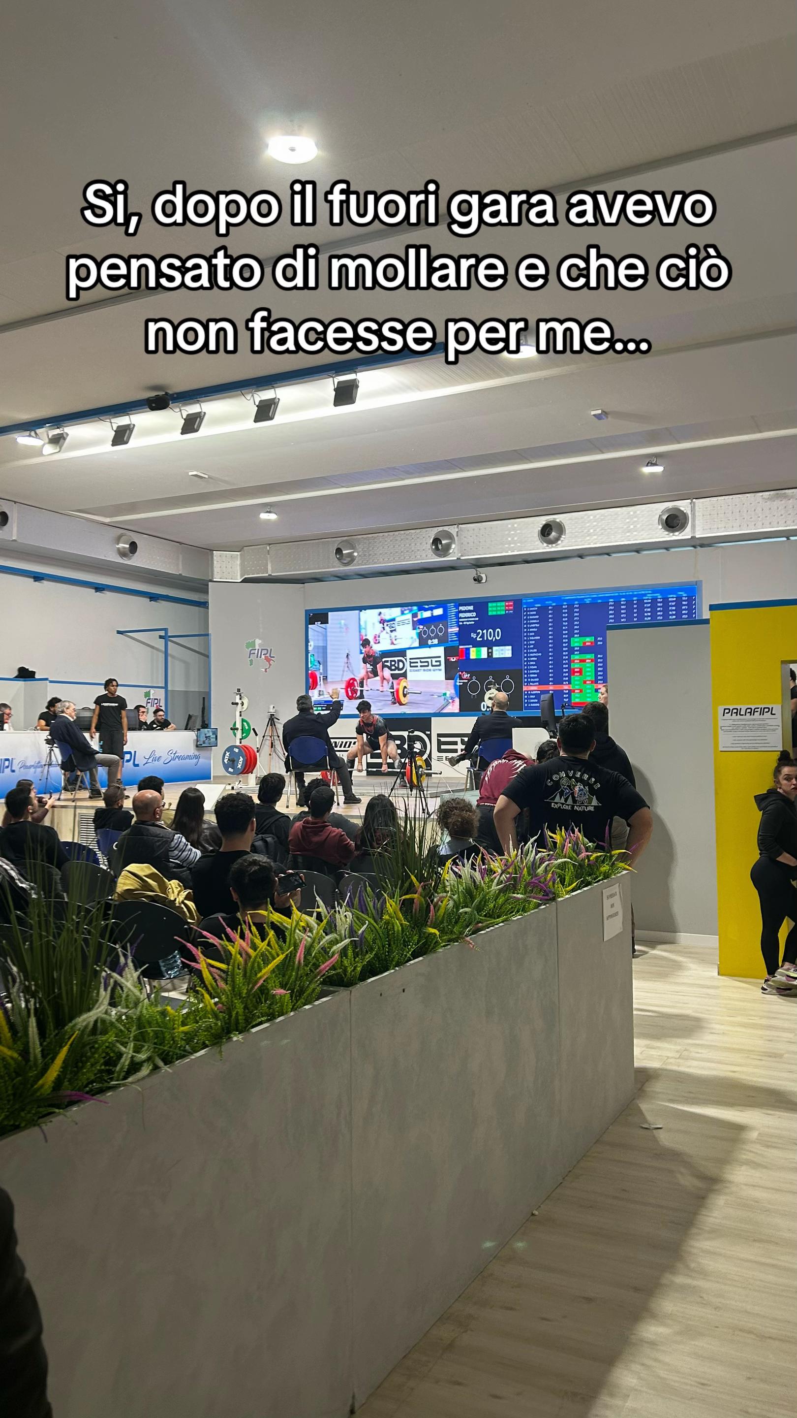 @grillo💫